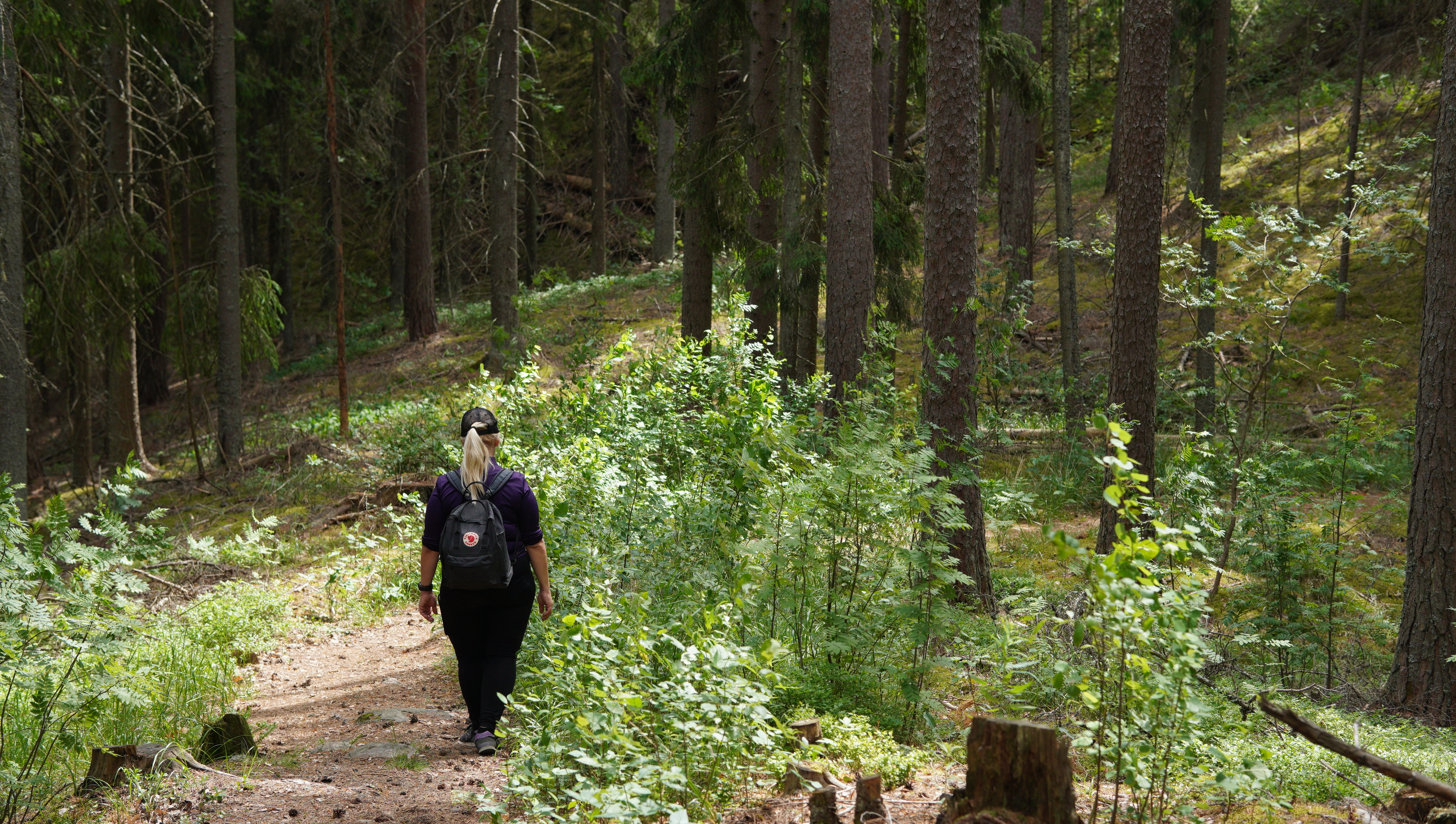 Nainen kävelee polulla metsässä. Polun molemmin puolin on alamäki. Metsä on vehreä ja rehevä polun ympärillä.