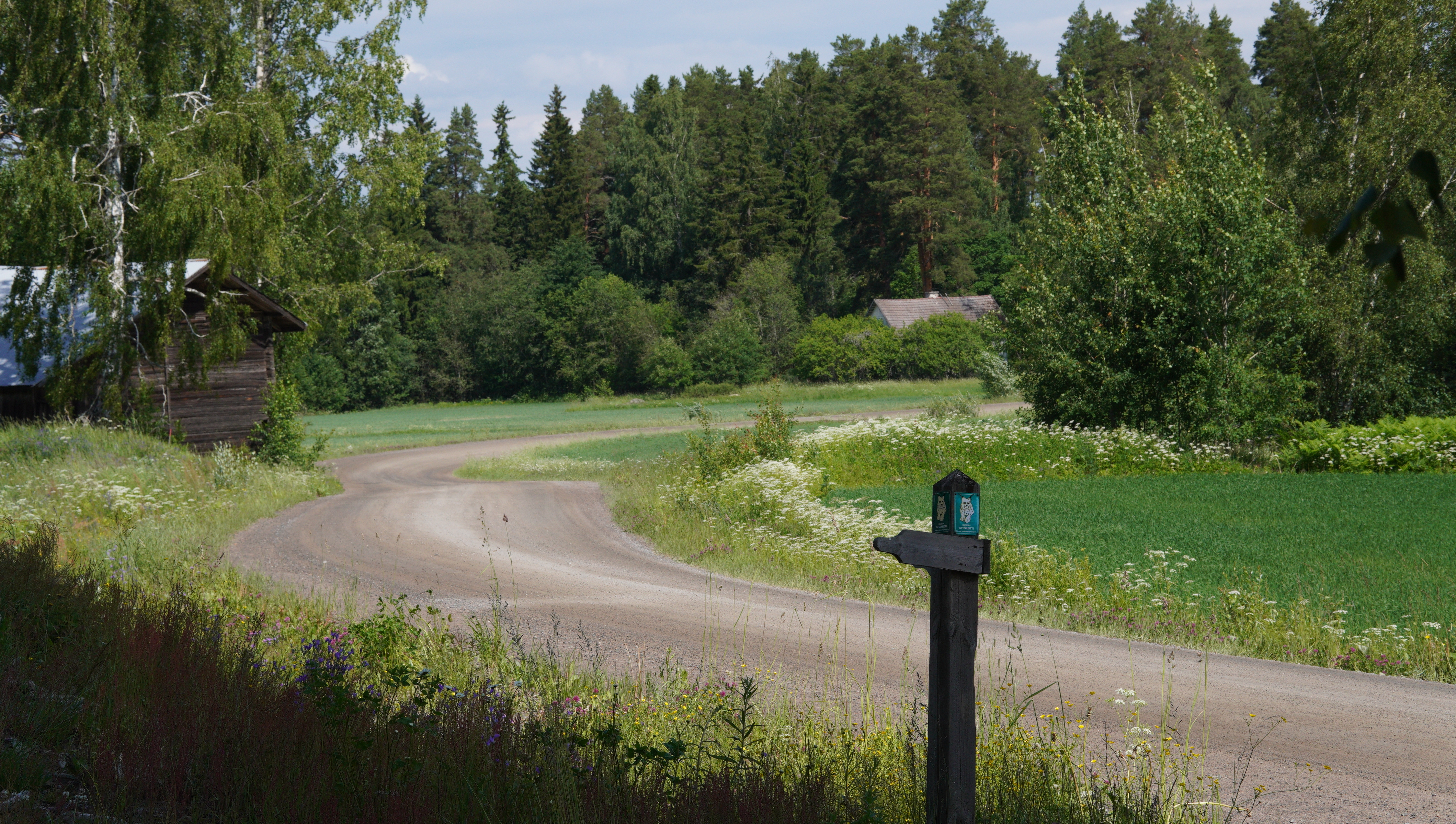 Pelloilla on vihreää kasvillisuutta. Hiekkatie mutkittelee peltojen välissä ja vasemmalla puolella tietä on lato. Kuvan etualalla on Hämeen Ilvesreitin reittimerkki.