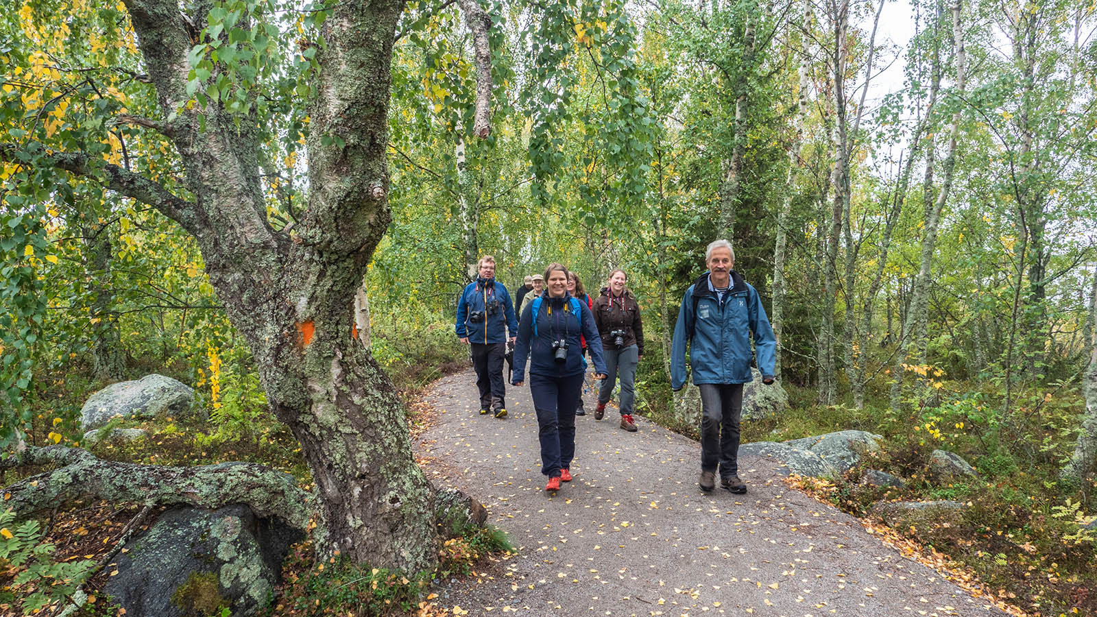Vandrare på en skogsstig vid Svedjehamn i Kvarkens skärgård