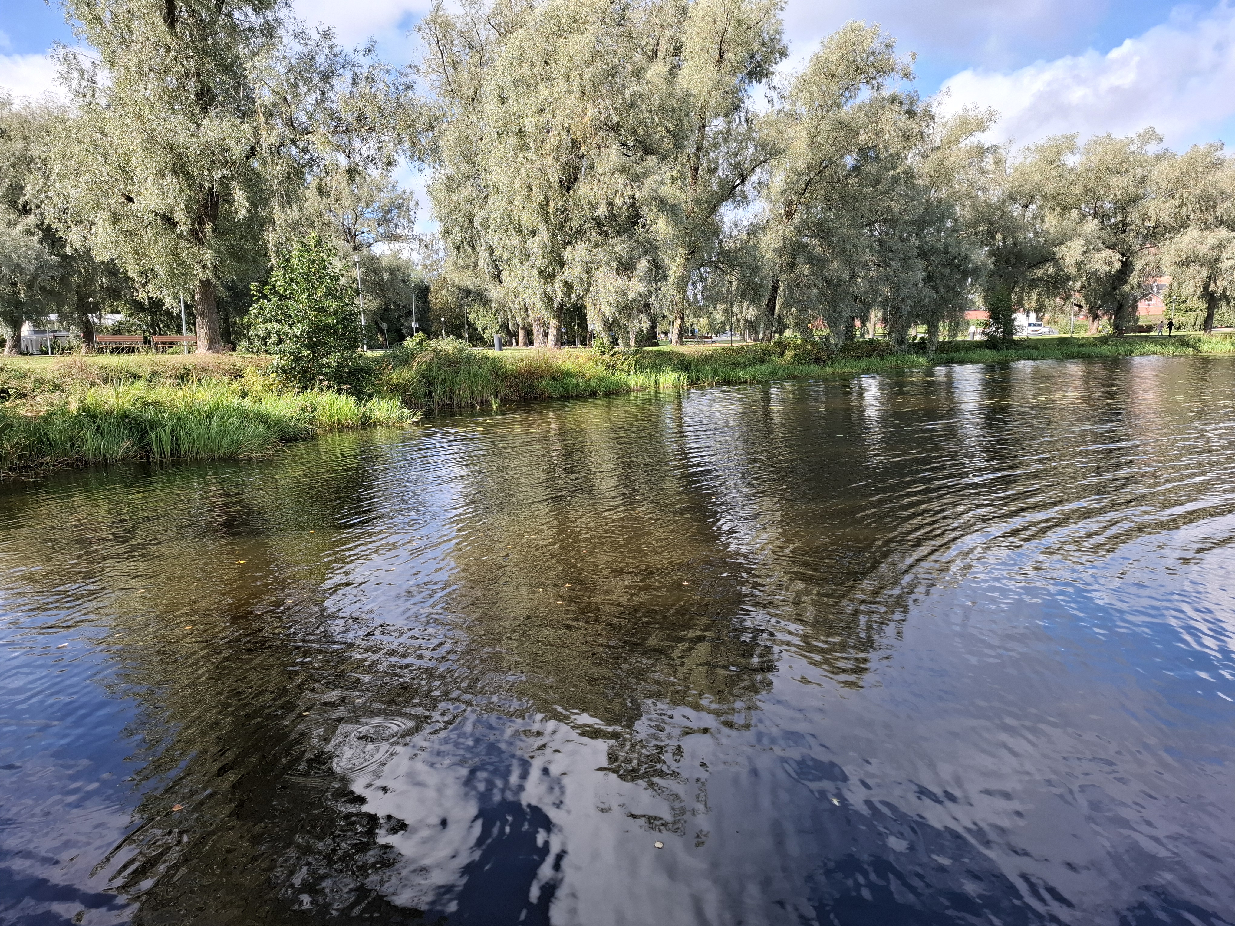 Laituria ympäröivä ranta tarjoaa myös kalastusmahdollisuuksia