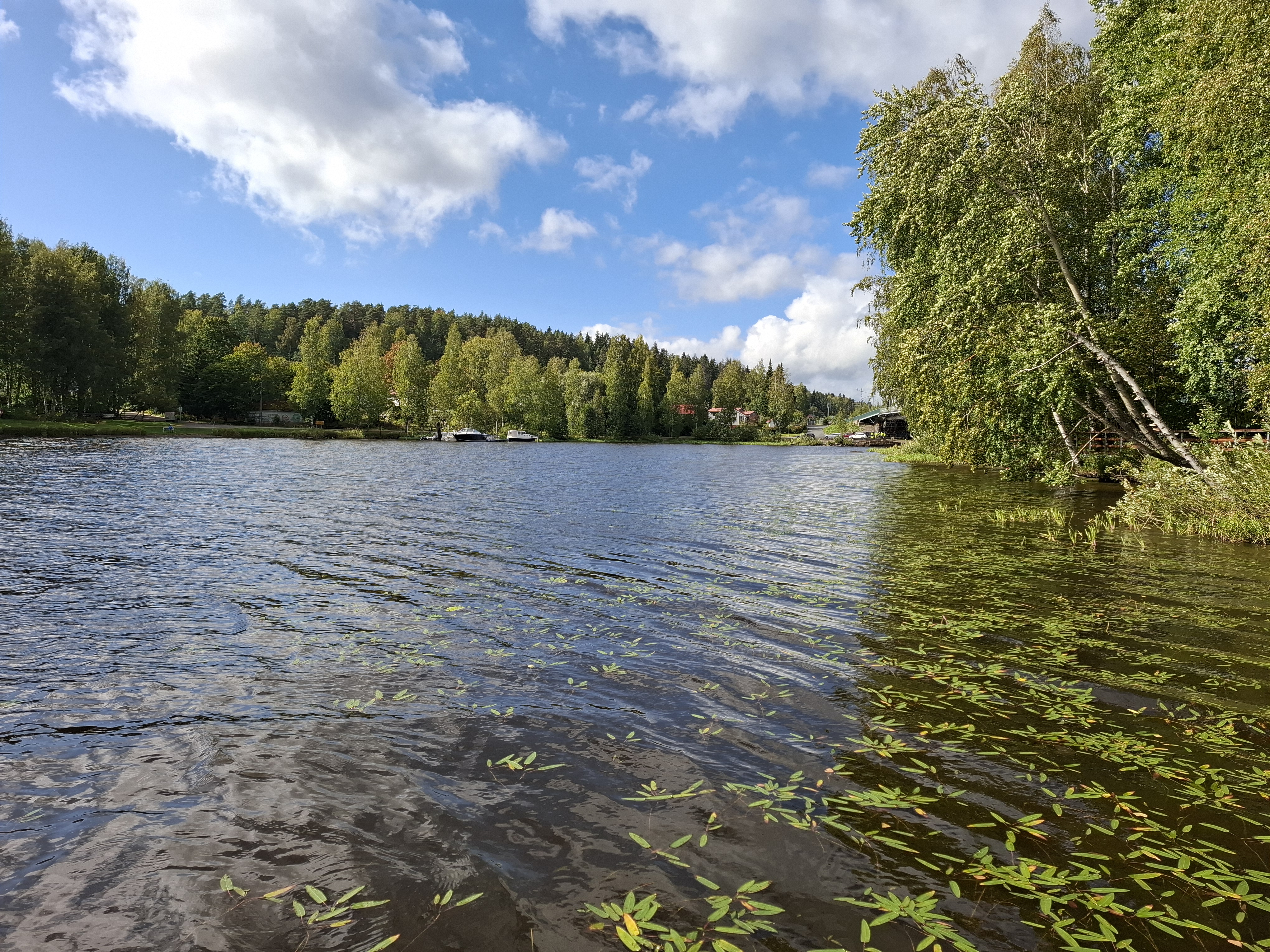 Kohteesta löytyy monipuolisesti kasvustoisia matalia rantoja ja syvempiä monttuja.