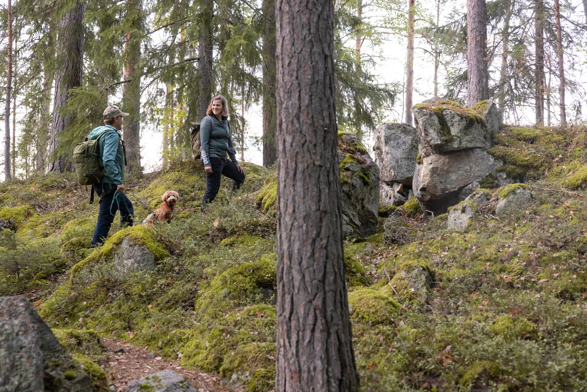 Ihmiset kävelevät polulla. Koira kurkistaa kiven takaa.