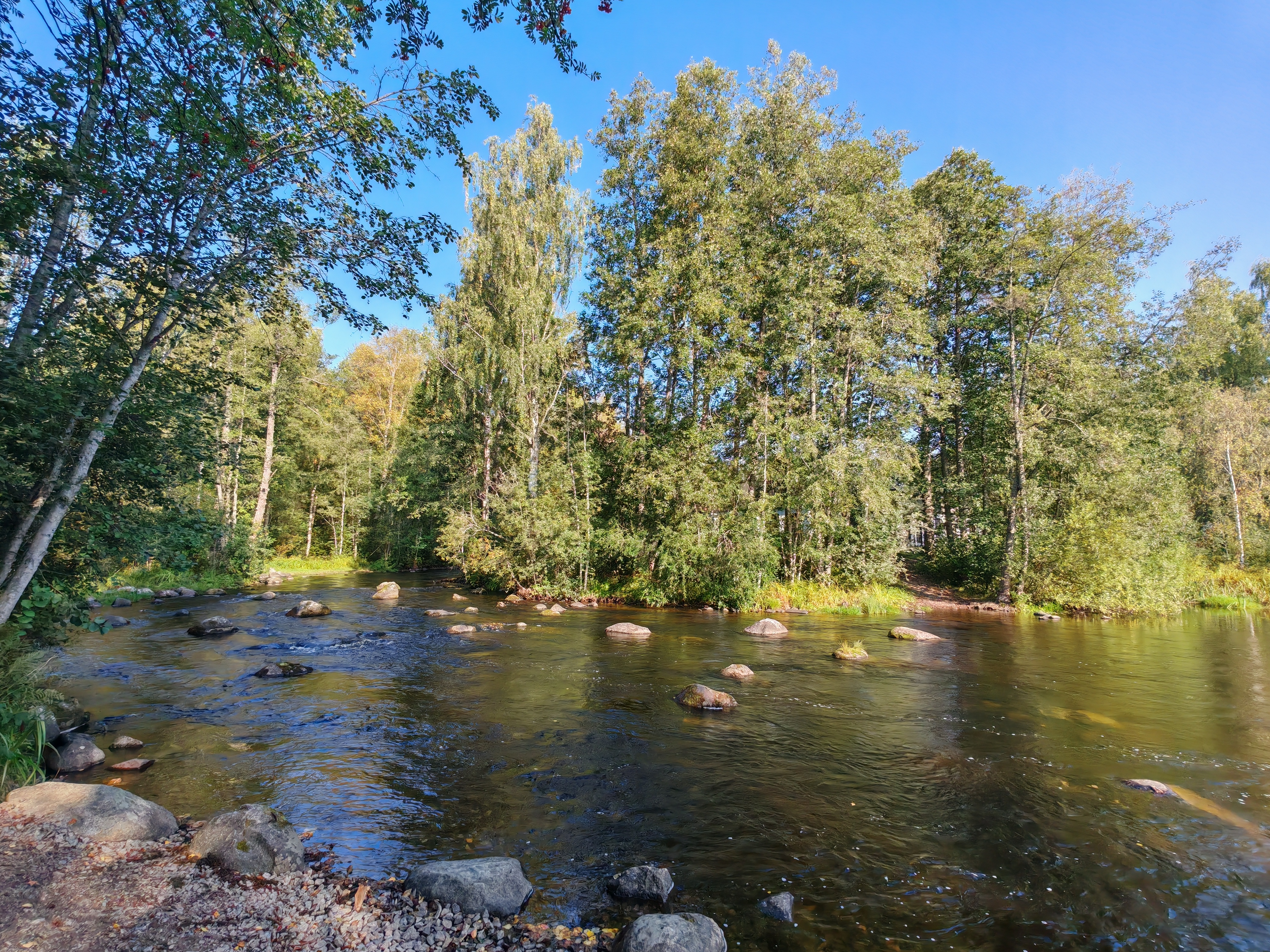 Muuramenjoki on upea luontokohde, keskustan läheisyydessä. Joen yleisin saalis on kirjolohi. Alueen helppokulkuiset reitit ja kauniit maisemat tekevät siitä loistavan paikan niin kalastajille kuin luontomatkailijoillekin.
