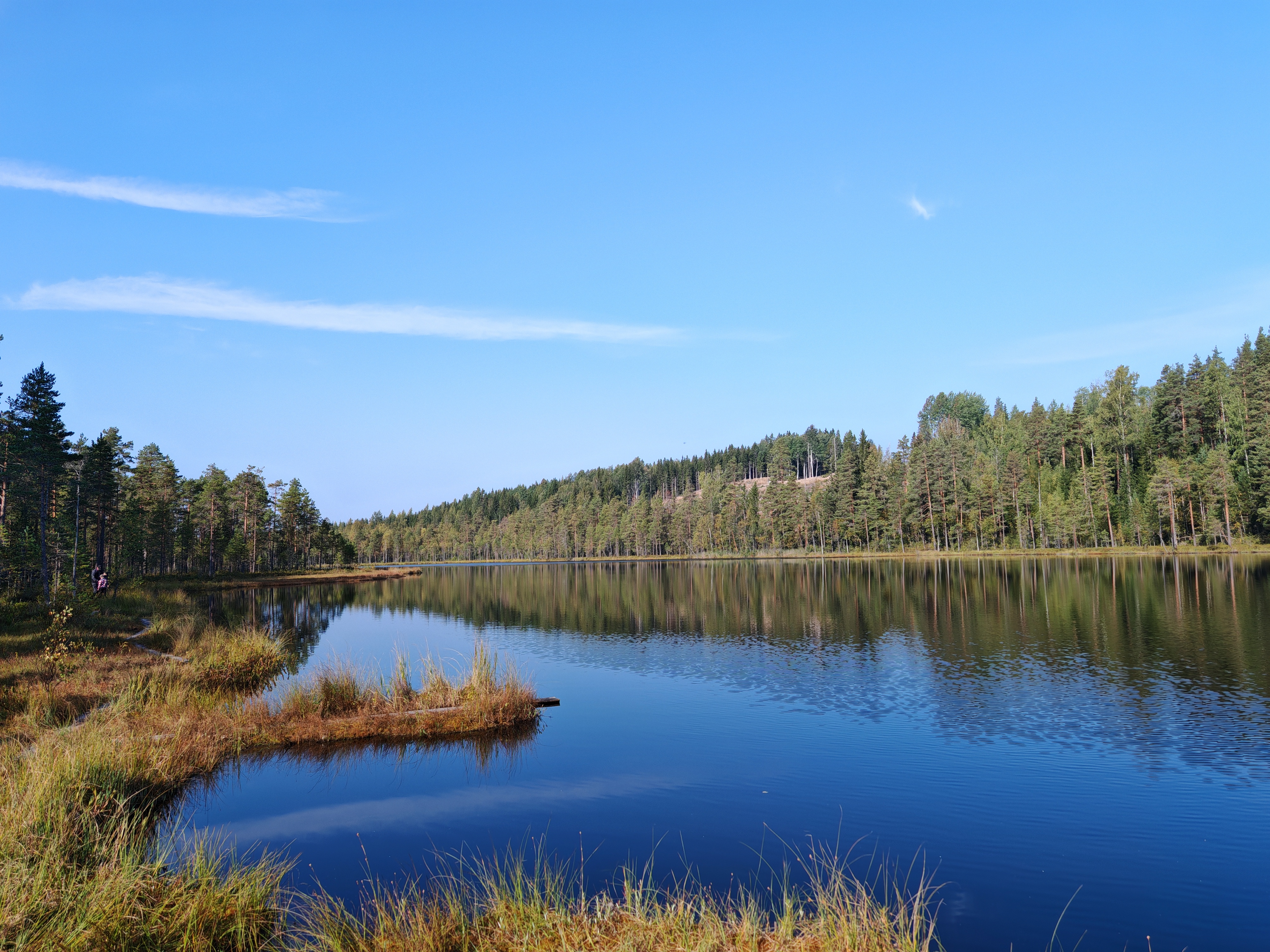 Kuvassa näkyy Raudanjärvi Muuramessa. Järvi on rannoilta soistunut. Taustalla näkyy metsä, jossa on sekoitus havupuita ja lehtipuita. Rannan tuntumassa saattaa olla pitkospuita tai laavu, jotka kertovat alueen soveltuvuudesta retkeilyyn. Tunnelma on seesteinen ja luonnonläheinen.