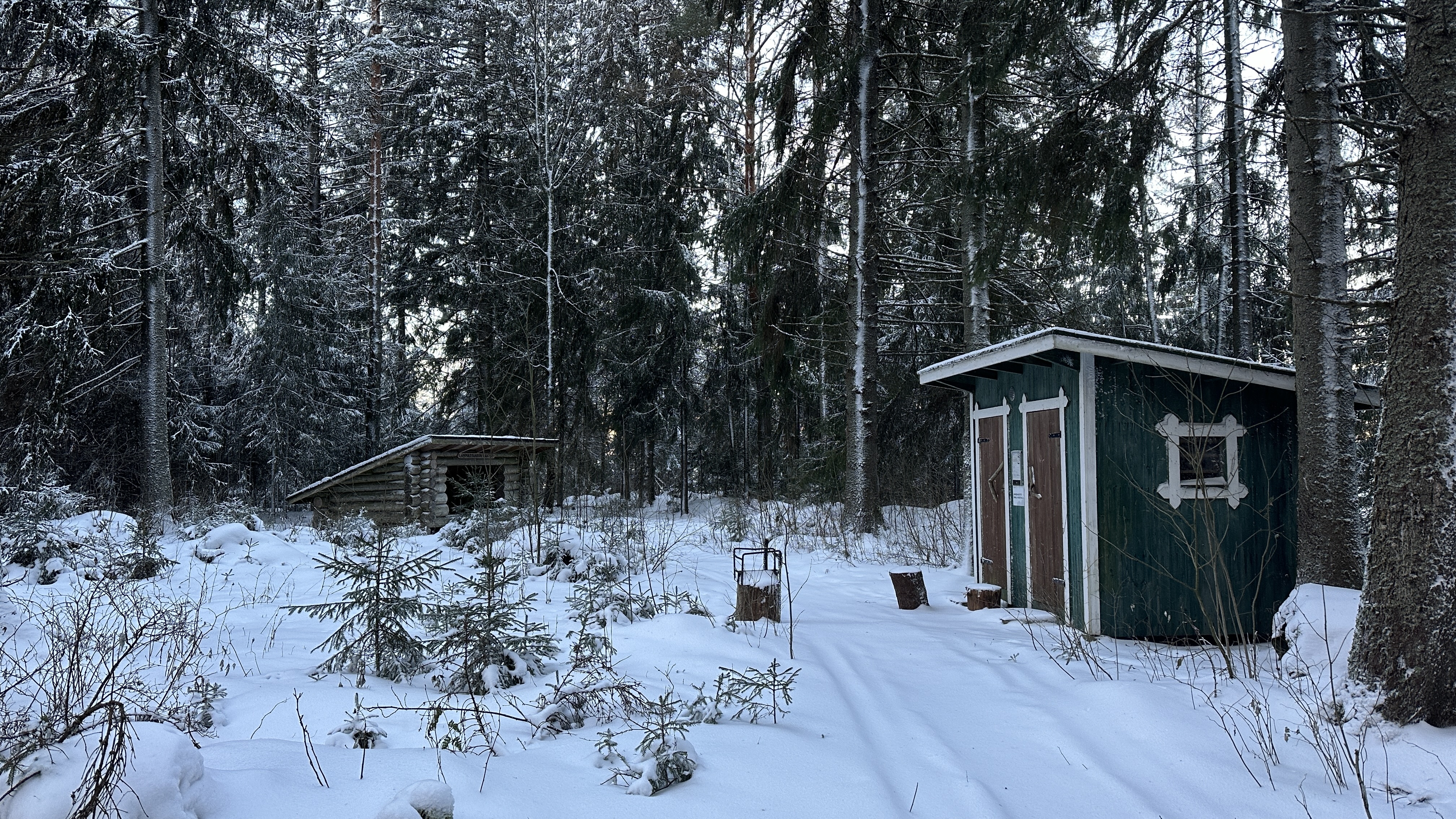 Green wooden shed in a forest.