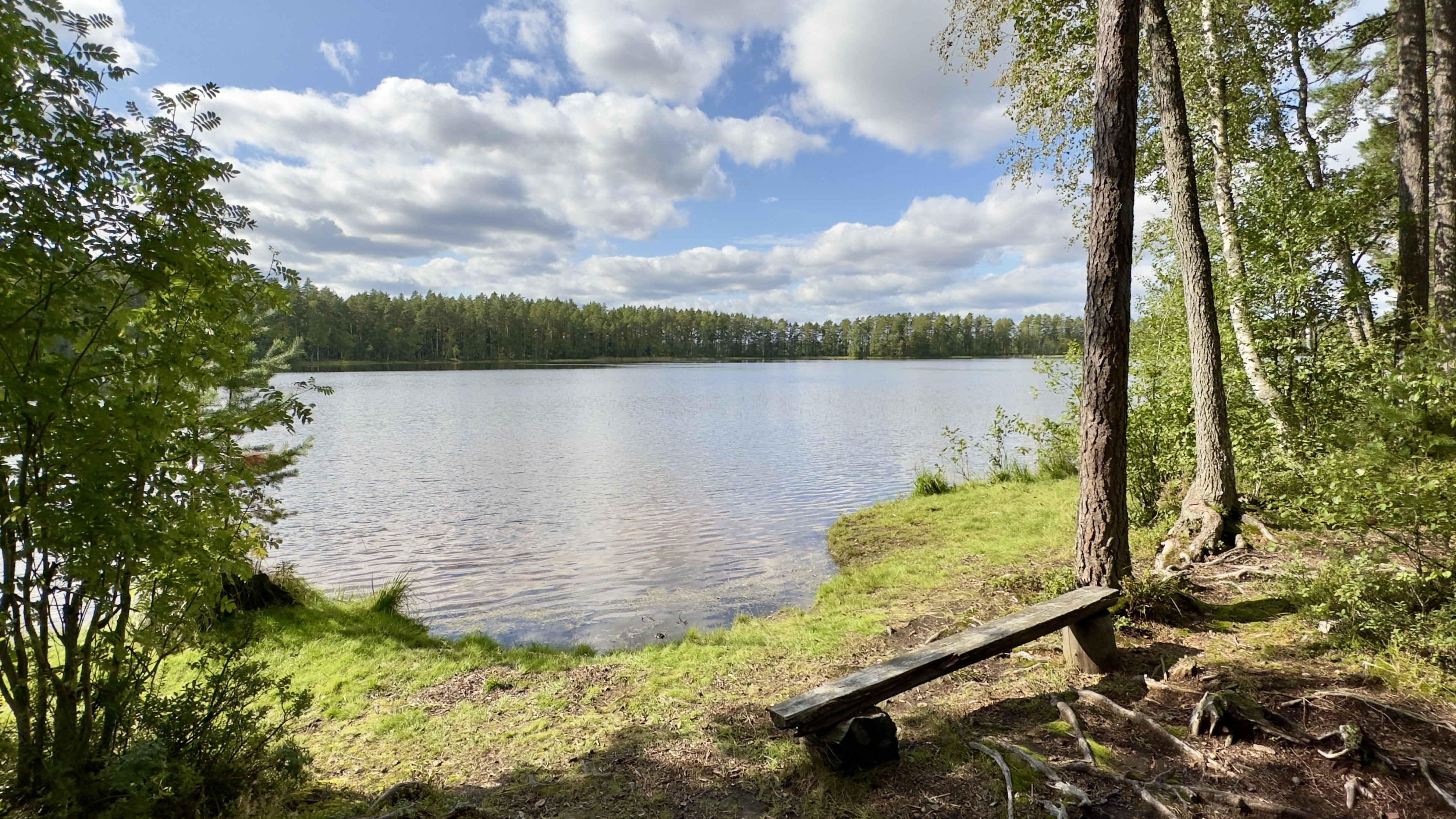 Puinen penkki on metsässä, edessä on järvi.