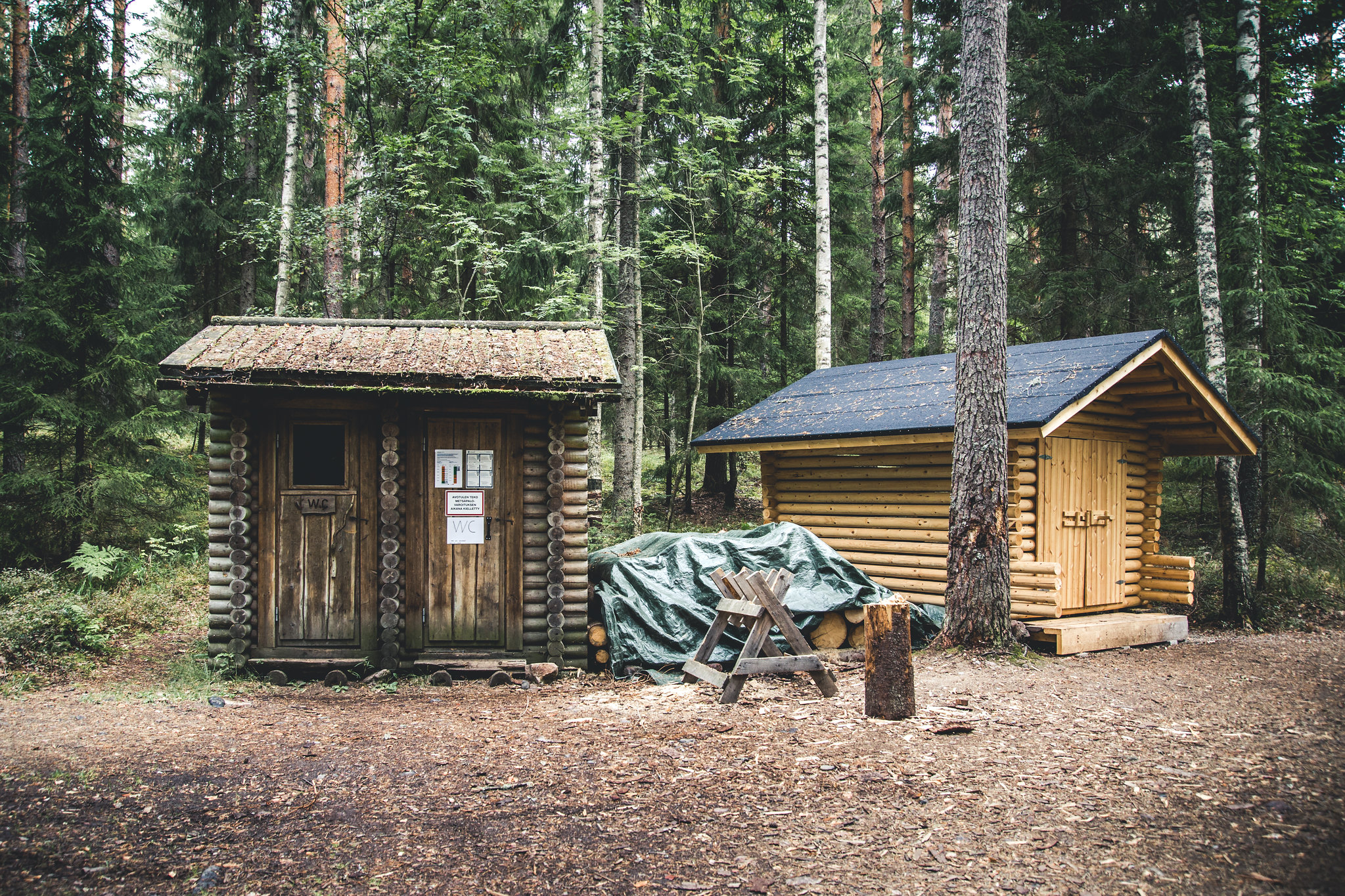 Kaksi hirsirakennusta metsässä.