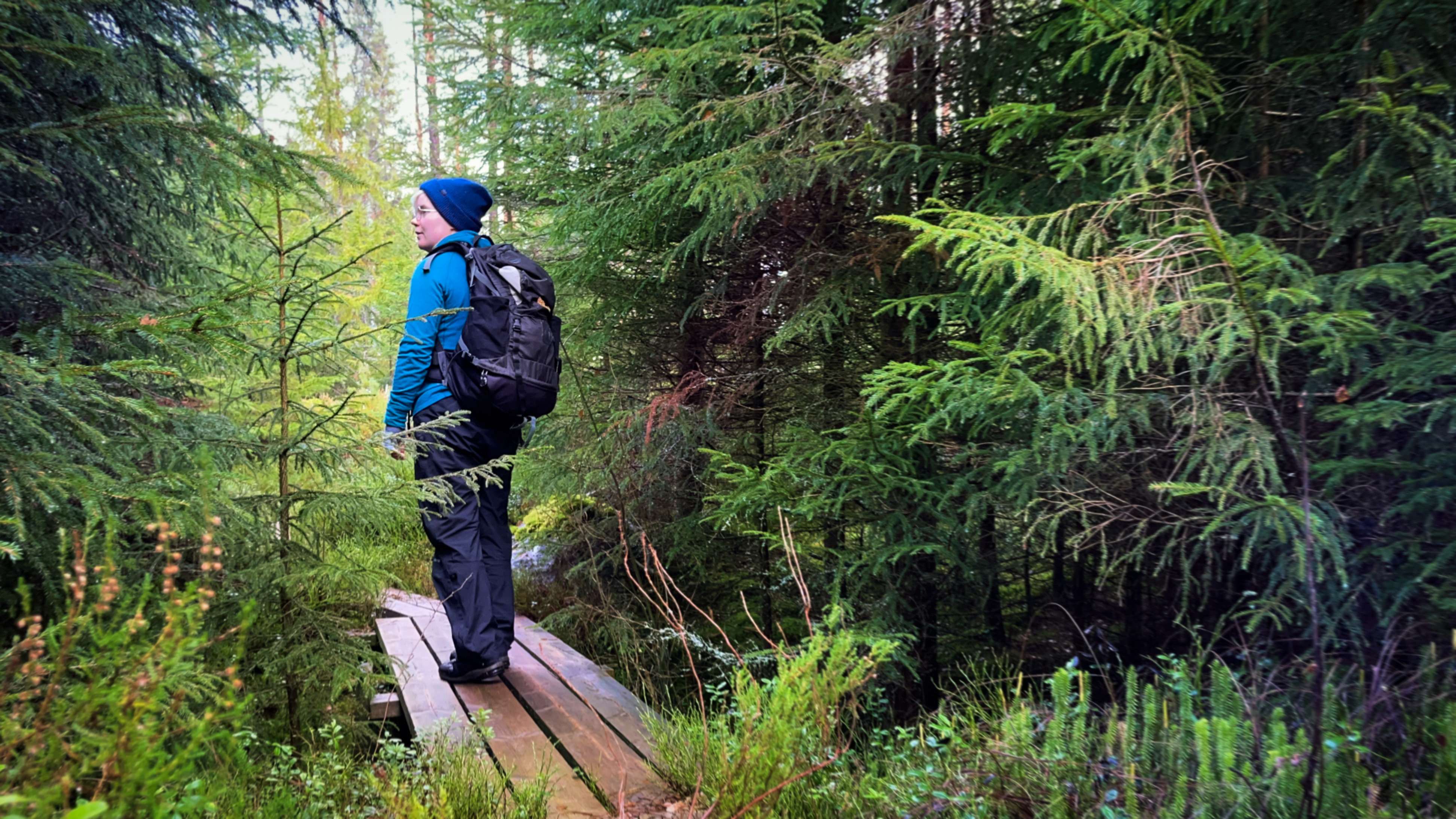 A person stands on a small bridge with a backpack. They are heading into the forest.