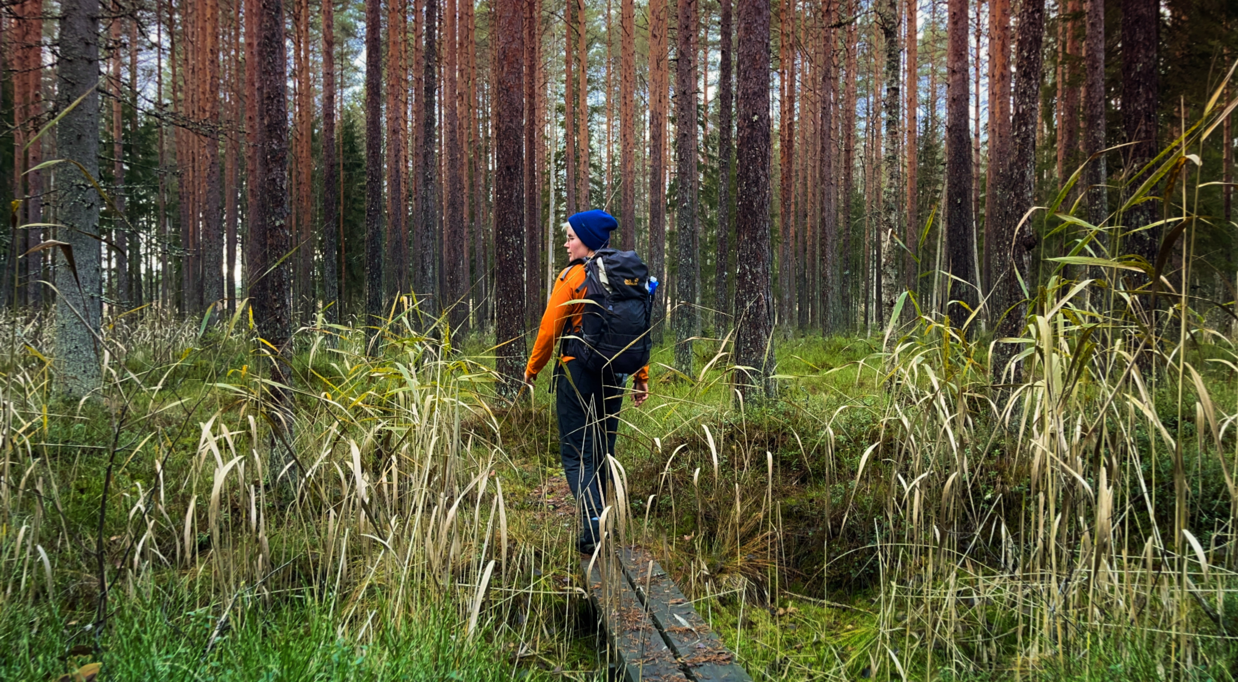 A forest trail by the shore of Kivijärvi, surrounded by dense coniferous trees and green moss.