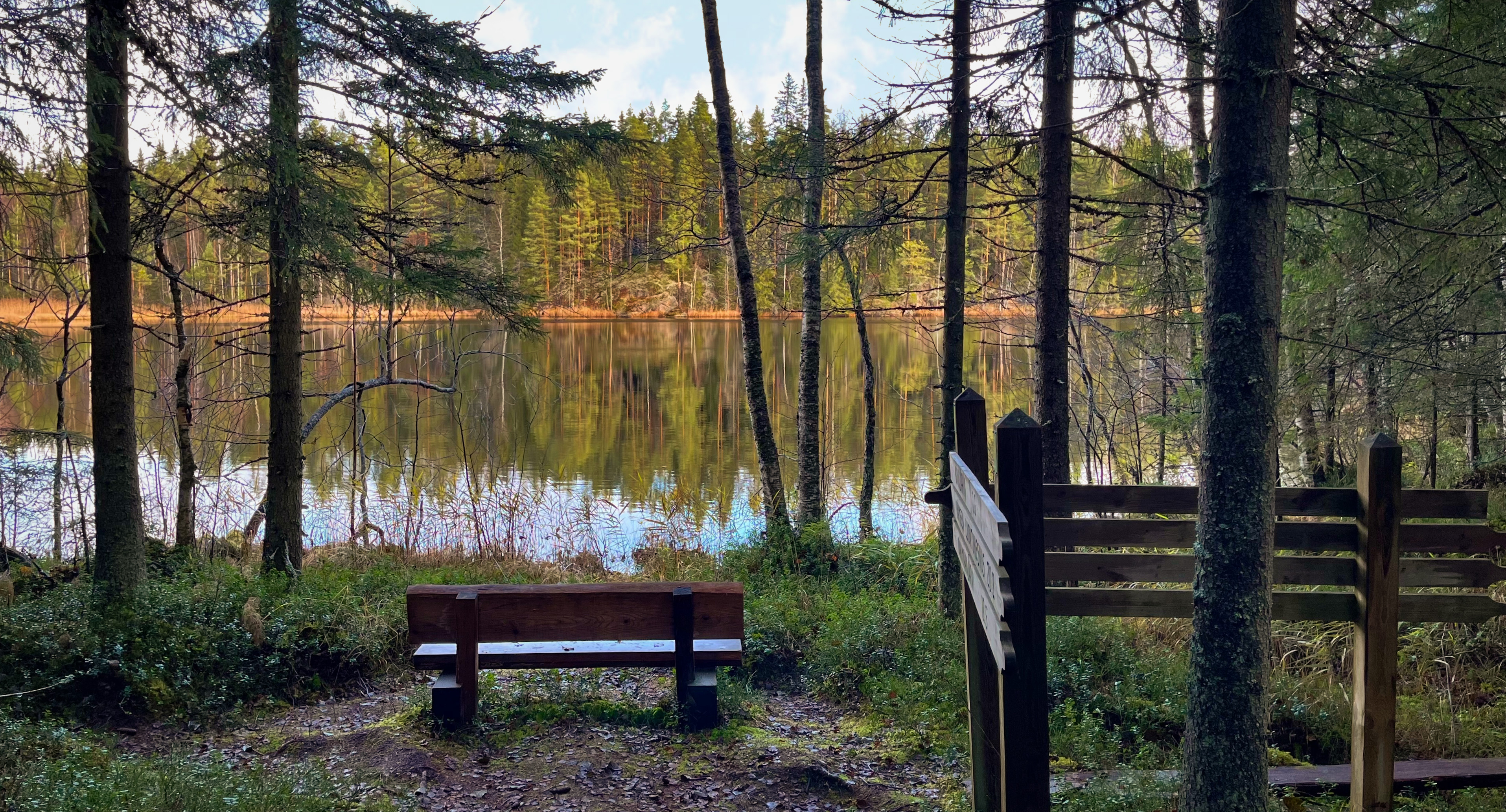 A bench view by the shore of Kivisammaljärvi, where the forest reflects on the calm water surface. Next to the bench, there is a wooden information board.