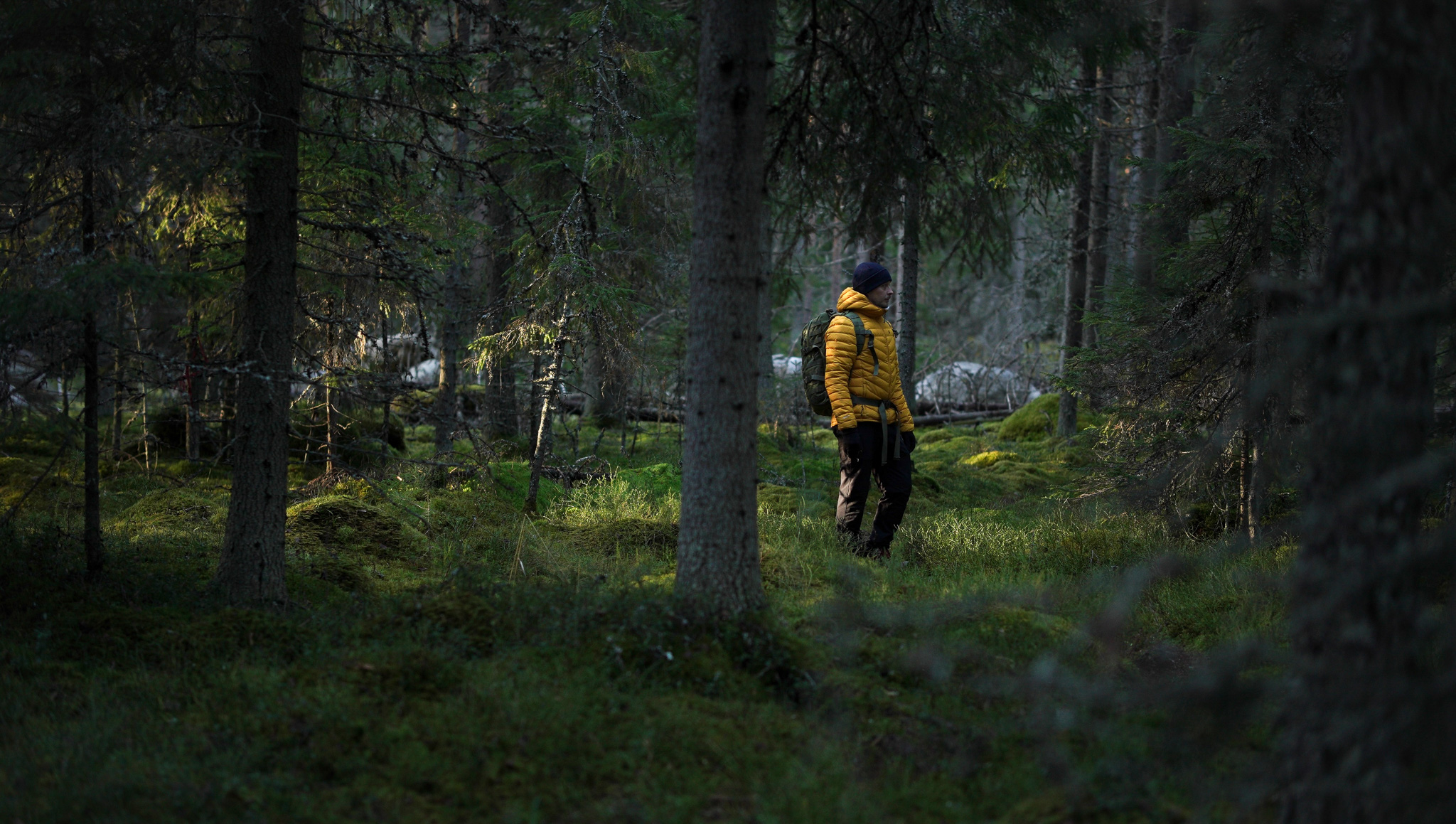 Mies seisoo metsässä, jossa sammal peittää maan.