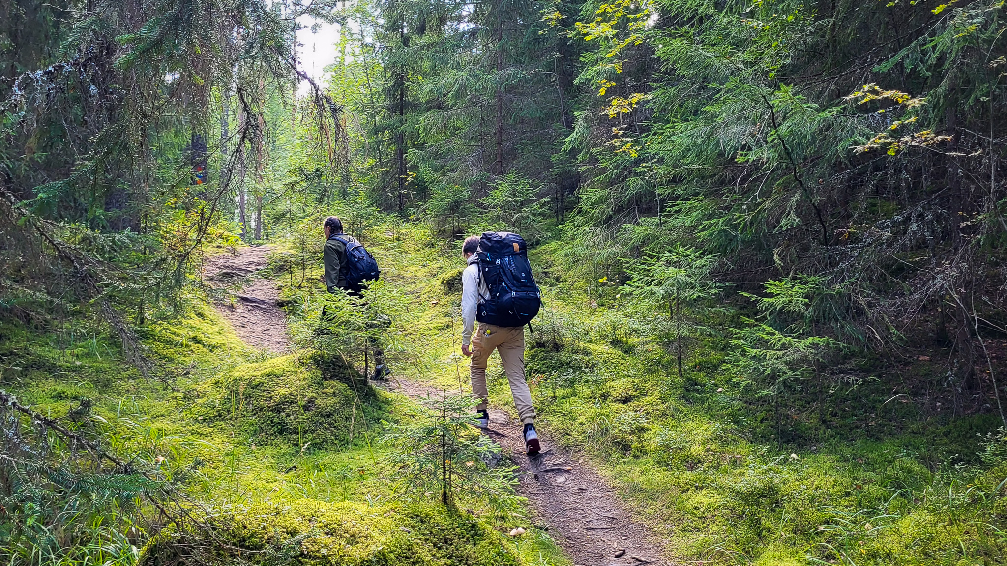 Kaksi ihmistä kävelee rinkat selässä metsäpolulla.