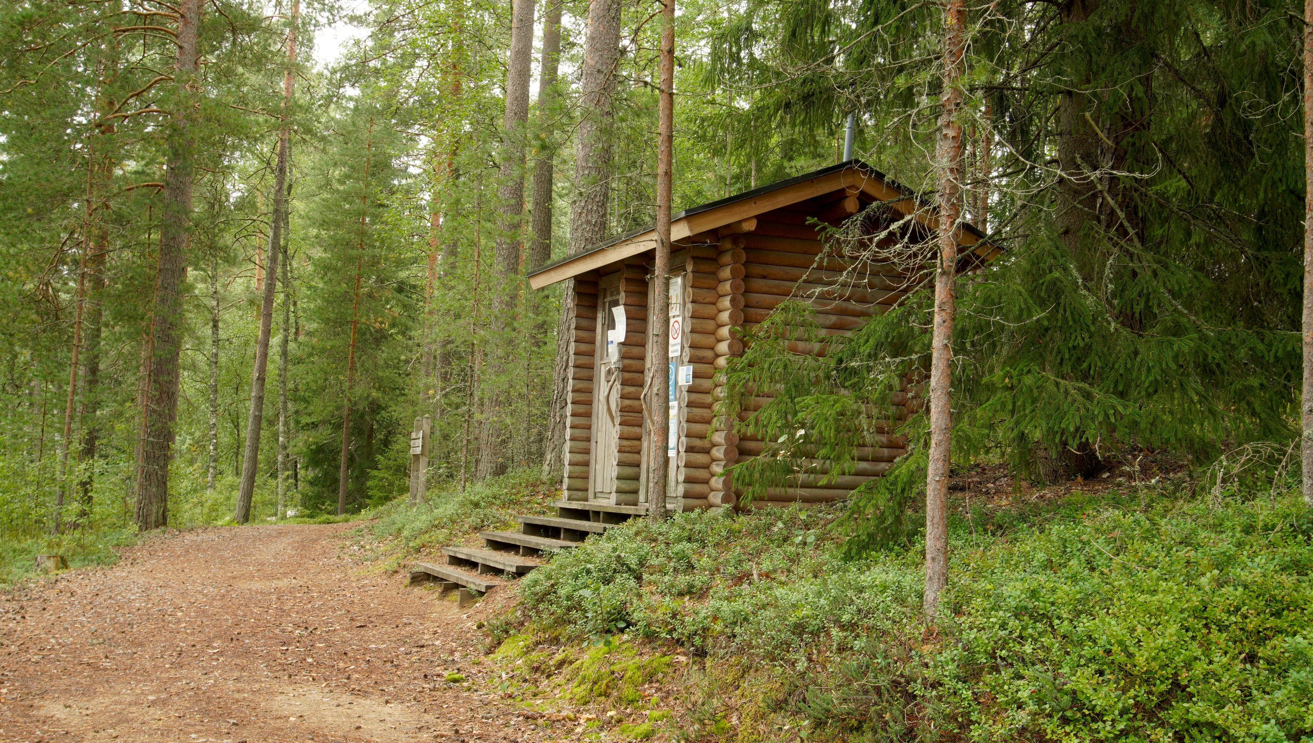 Metsän reunalla on hirrestä rakennettu pieni rakennus.