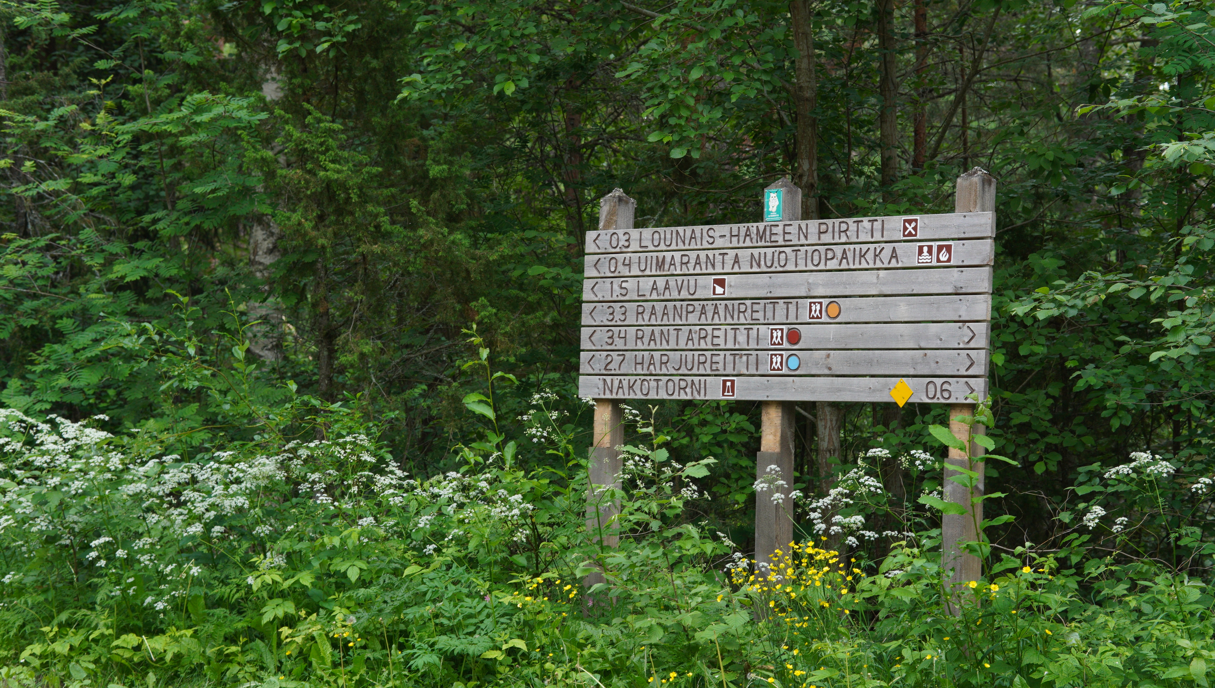Opastekyltti metsässä.