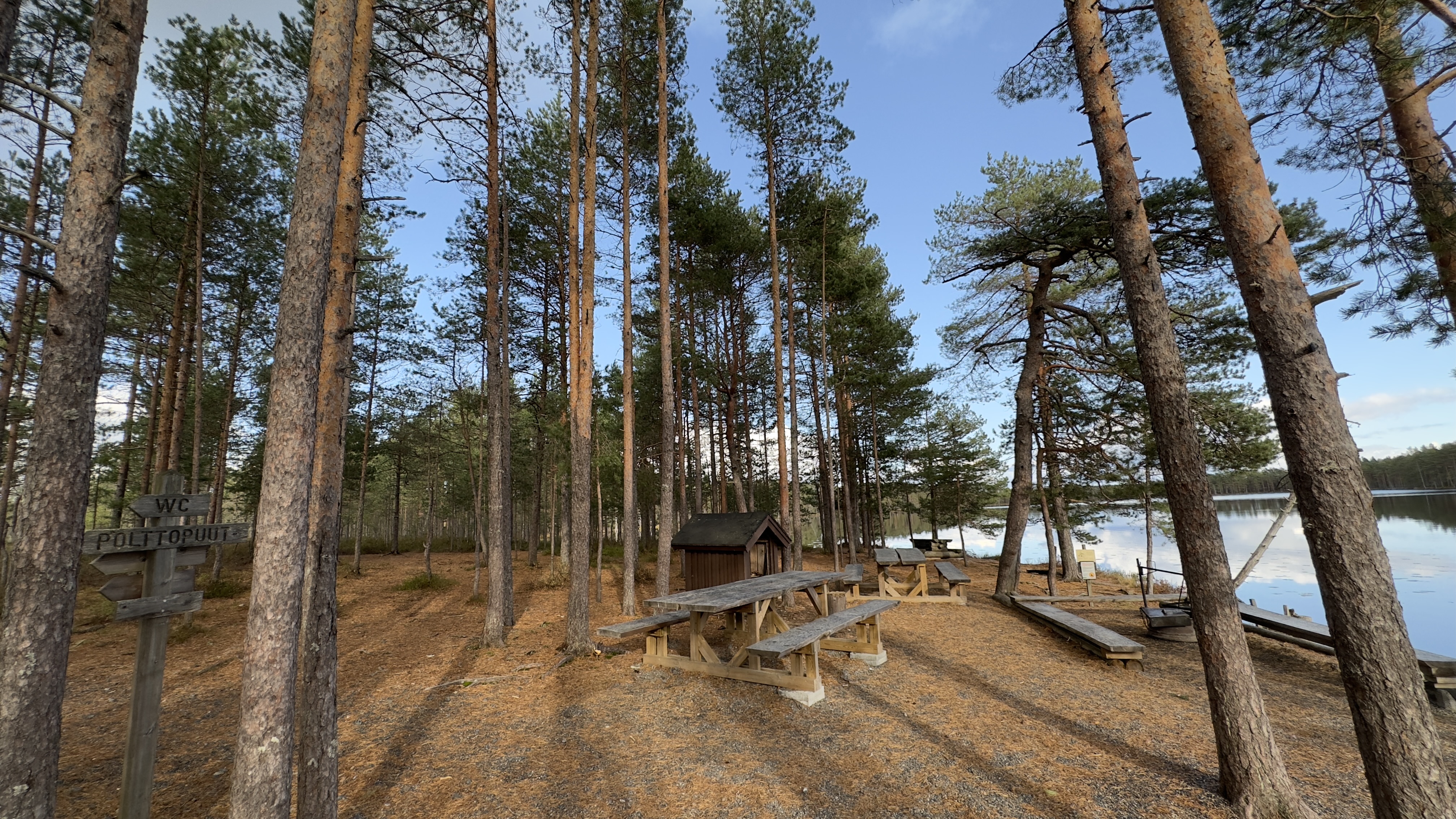 On the lakeside in the woods there are tables with benches and a campfire site.
