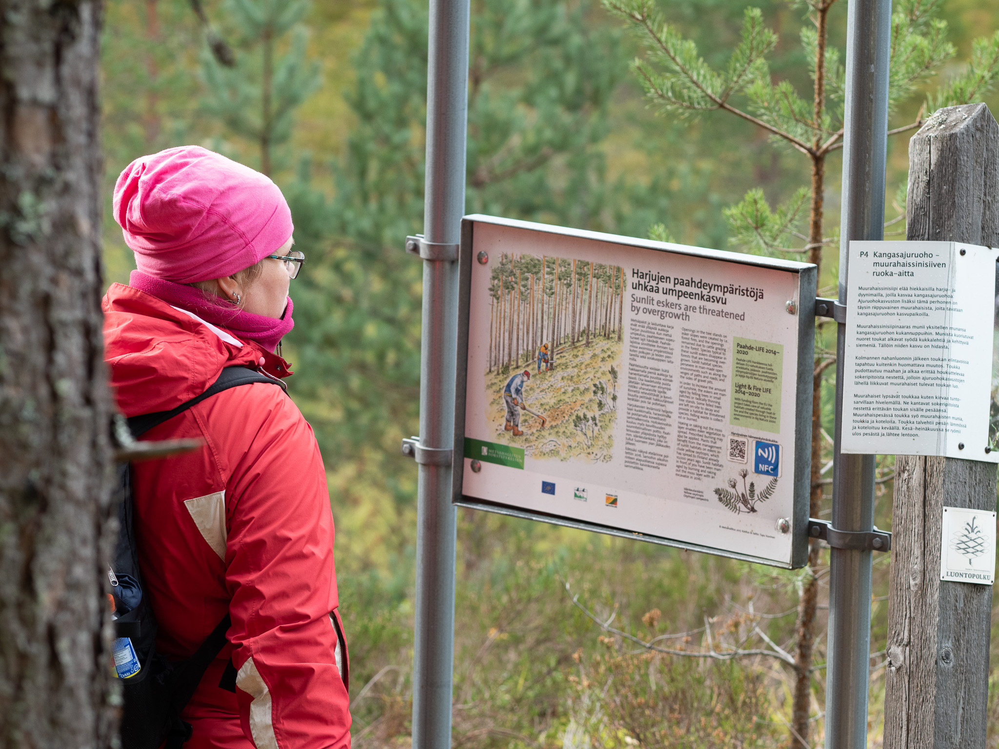 Nainen lukee kylttiä metsässä.