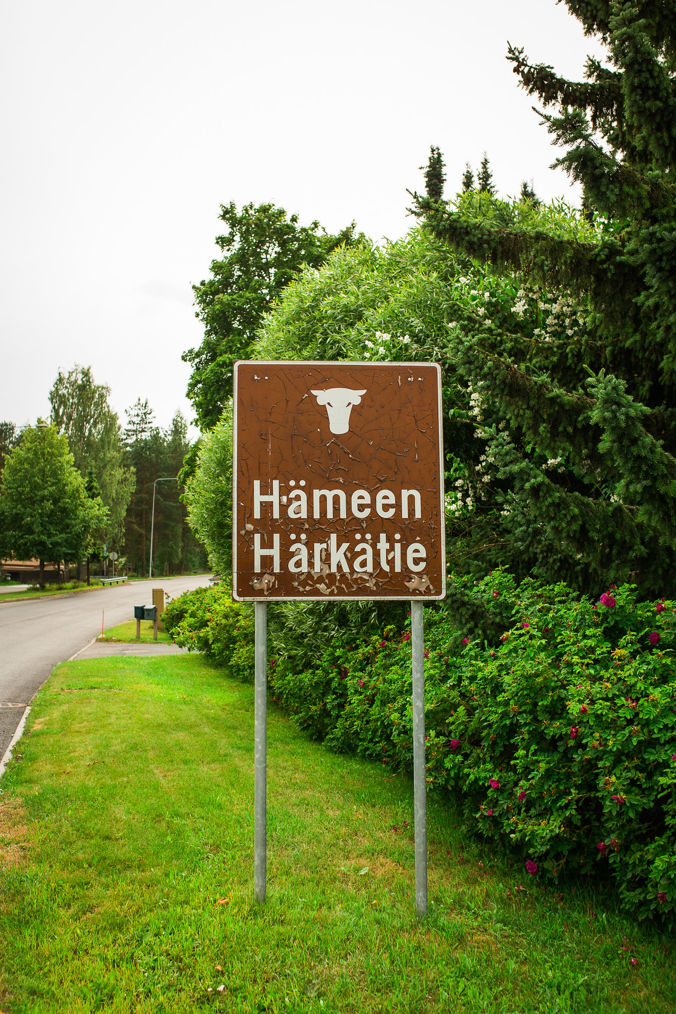 A brown signpost next to a road. It says 