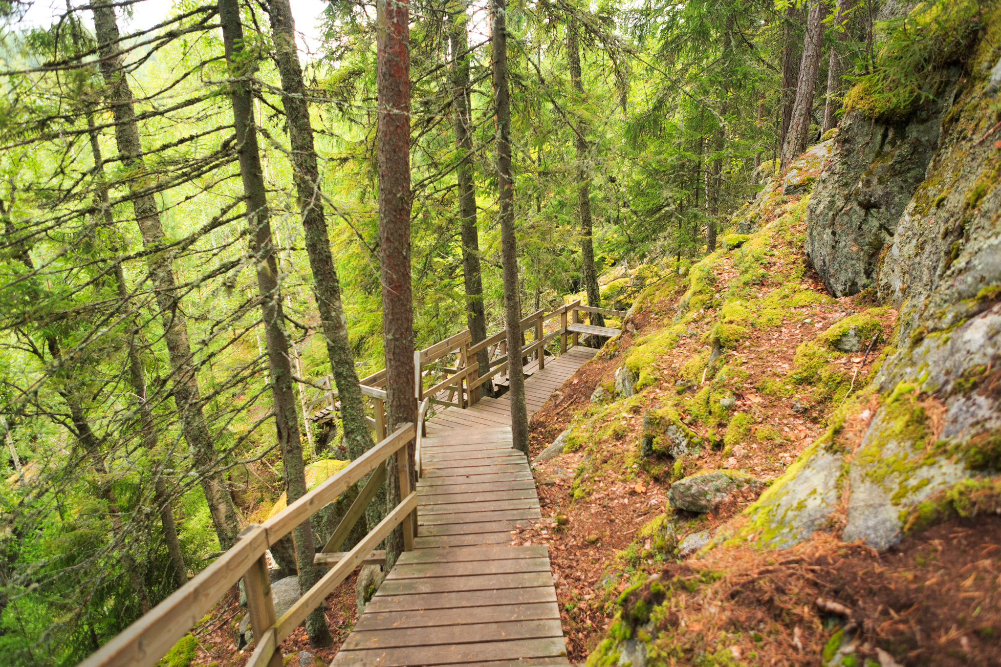 Wooden stairs built on the face of a steep hill.
