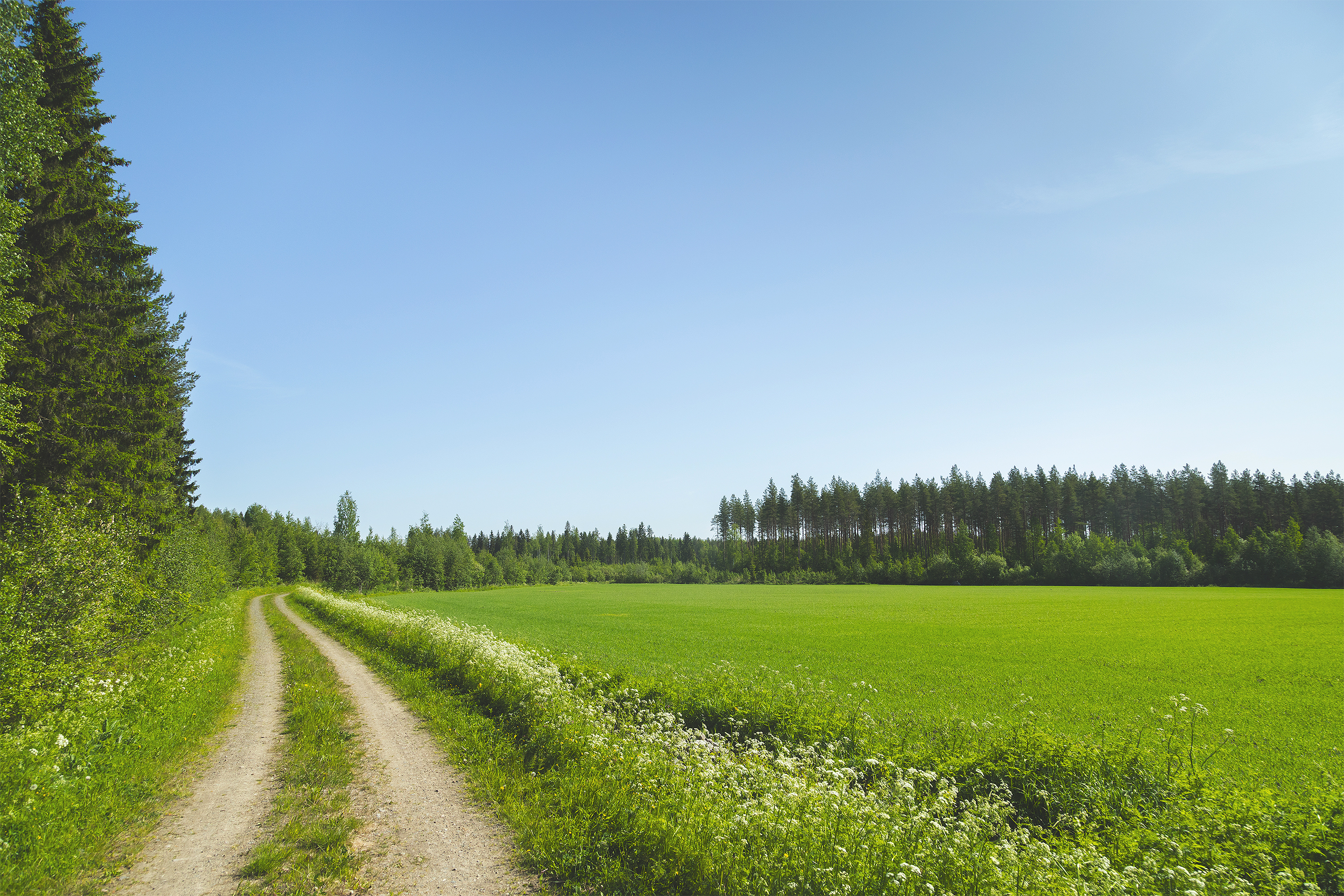 Kesäinen peltomaisema. Kuvan vasemmassa reunassa kulkee soratie.