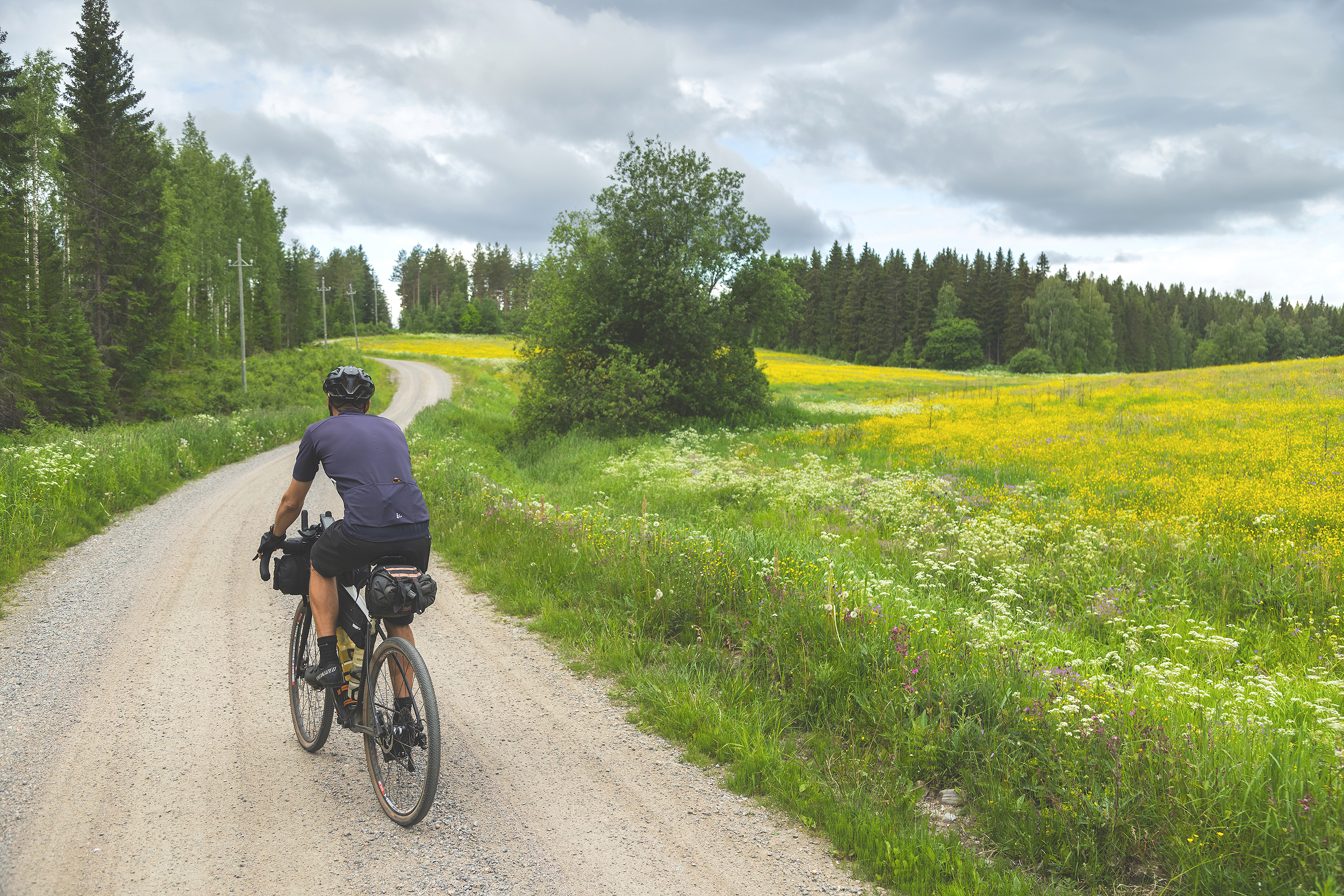 Person biking on a gravel road by a flower field.