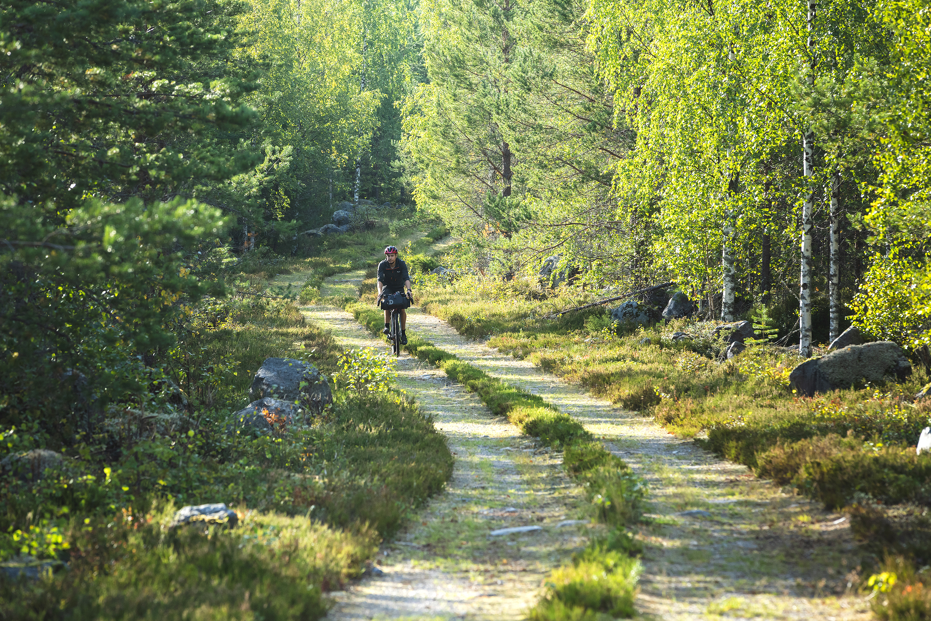 Pyöräilijä kesäisellä metsätiellä.