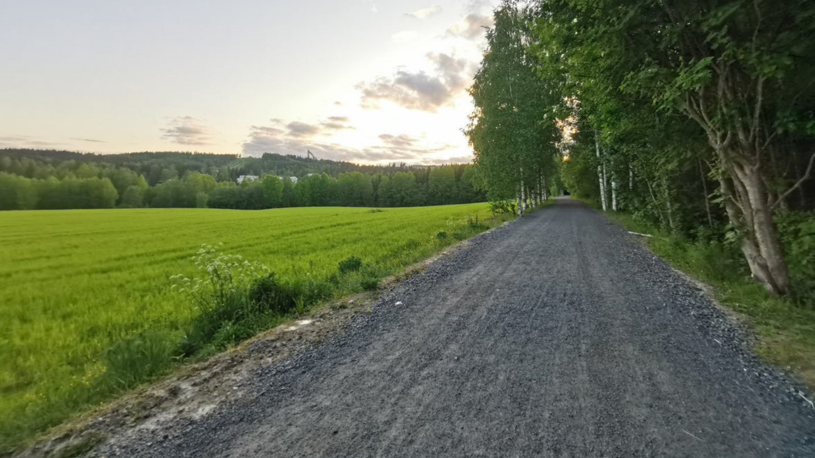 Kesäinen maisema. Keskellä leveä hiekkatie, vasemmalla peltoa ja oikealla lehtipuita.