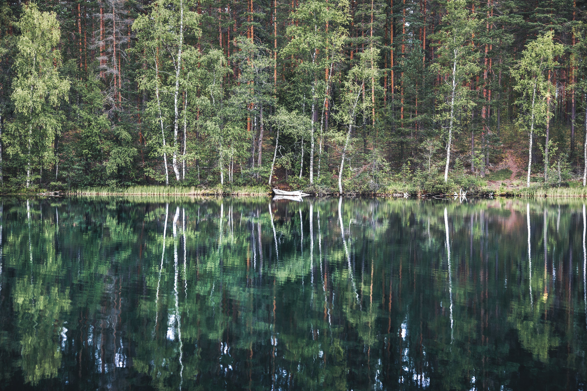 Järvi, jonka pinnasta heijastuu metsä. Rannassa on vene.