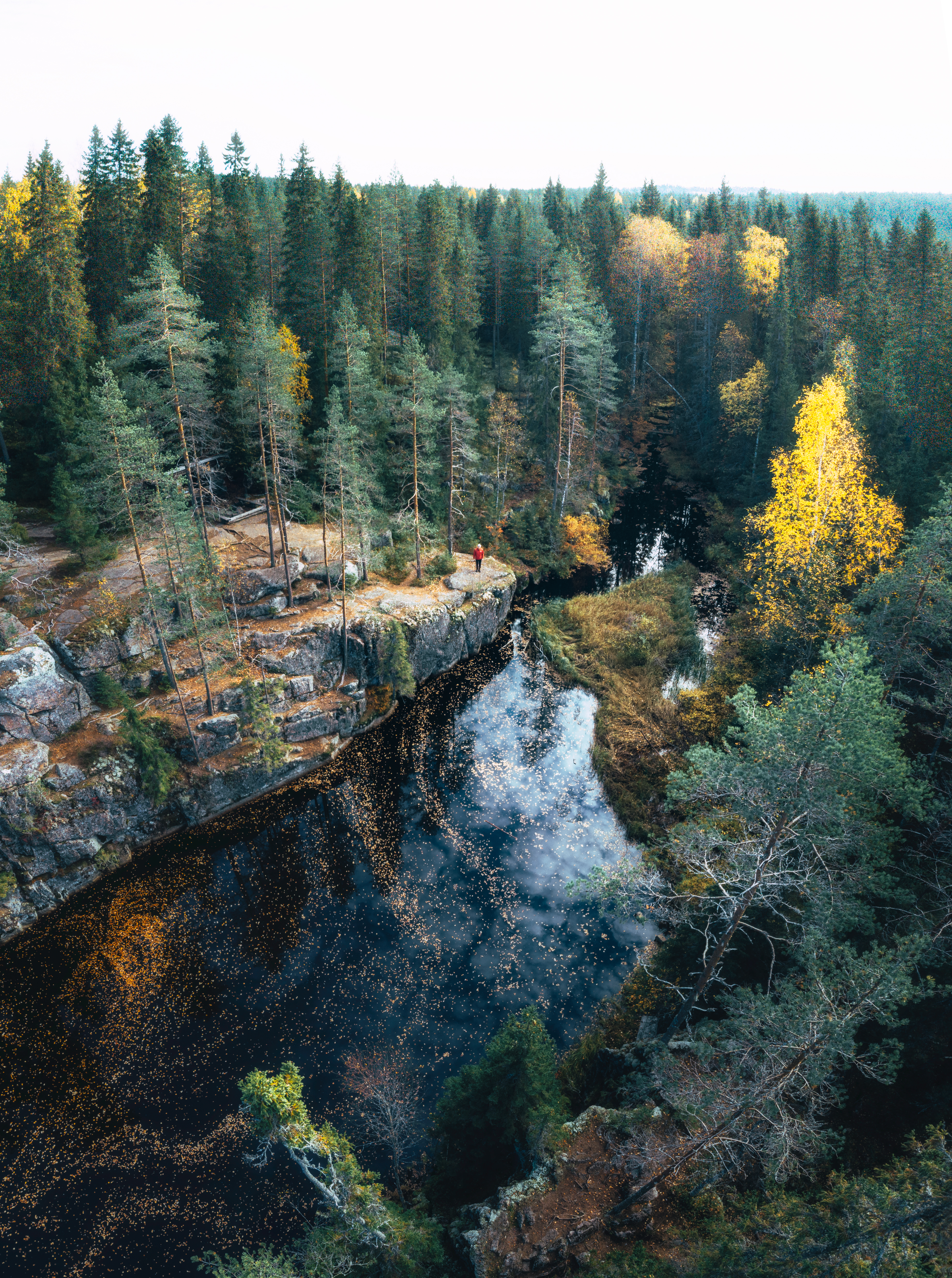 Kapea rotkojärvi