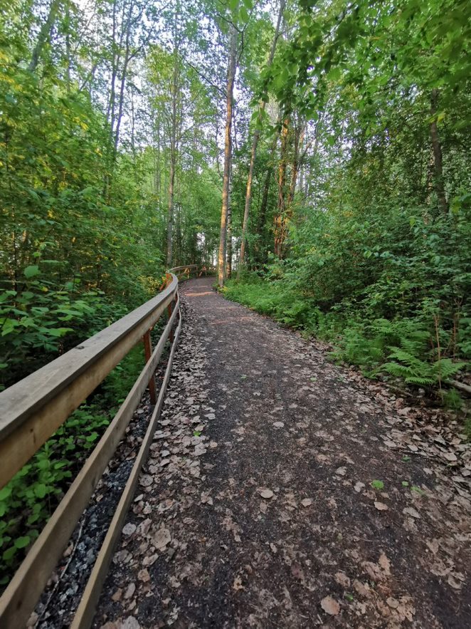 Leveä hiekkatie metsän keskellä. Osa vaativaa esteetöntä reittiä, jolla paikoittain 8 % nousua.