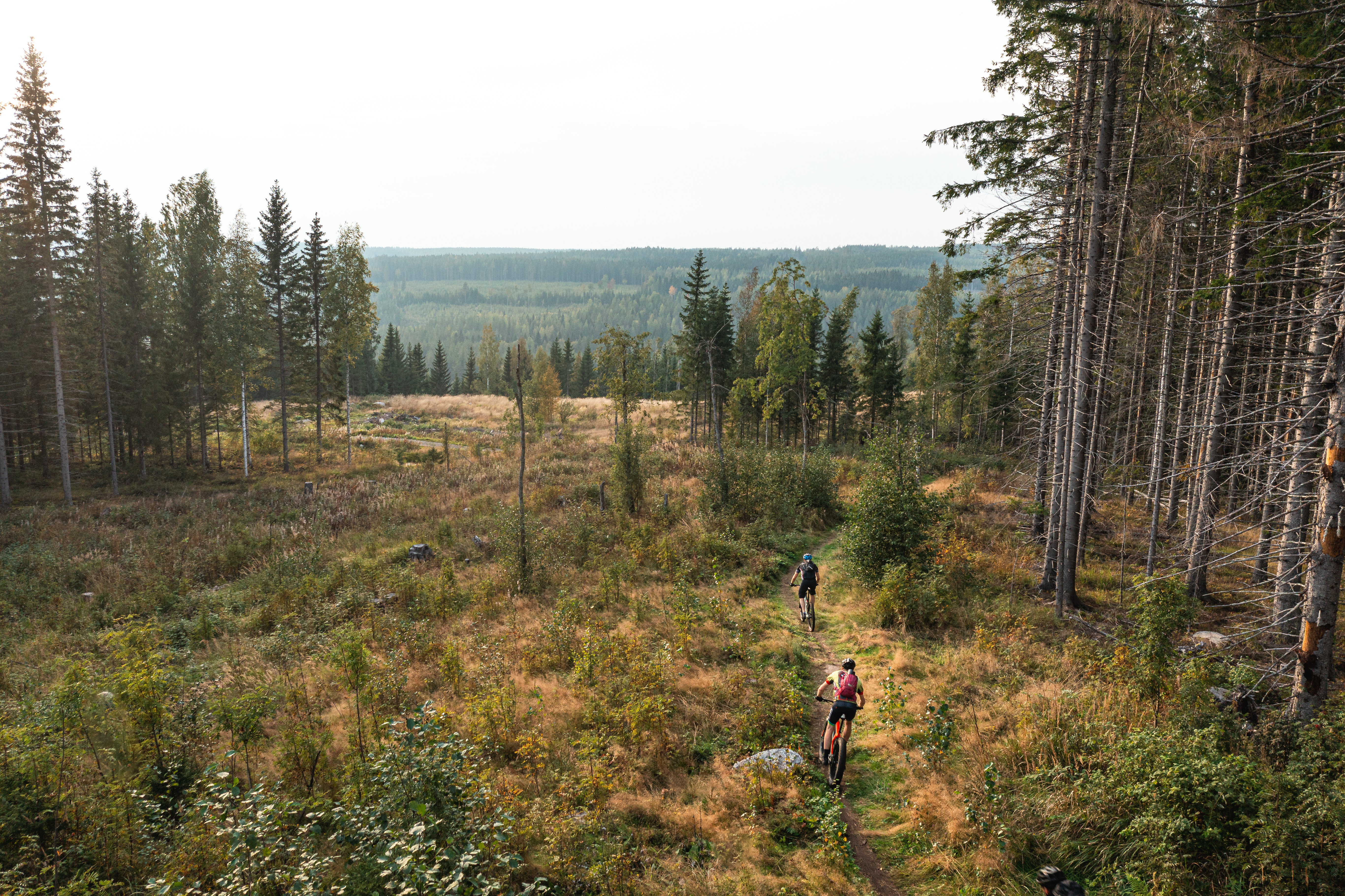Kaksi maastopyöräilijää polkemassa polkua metsän laidalla