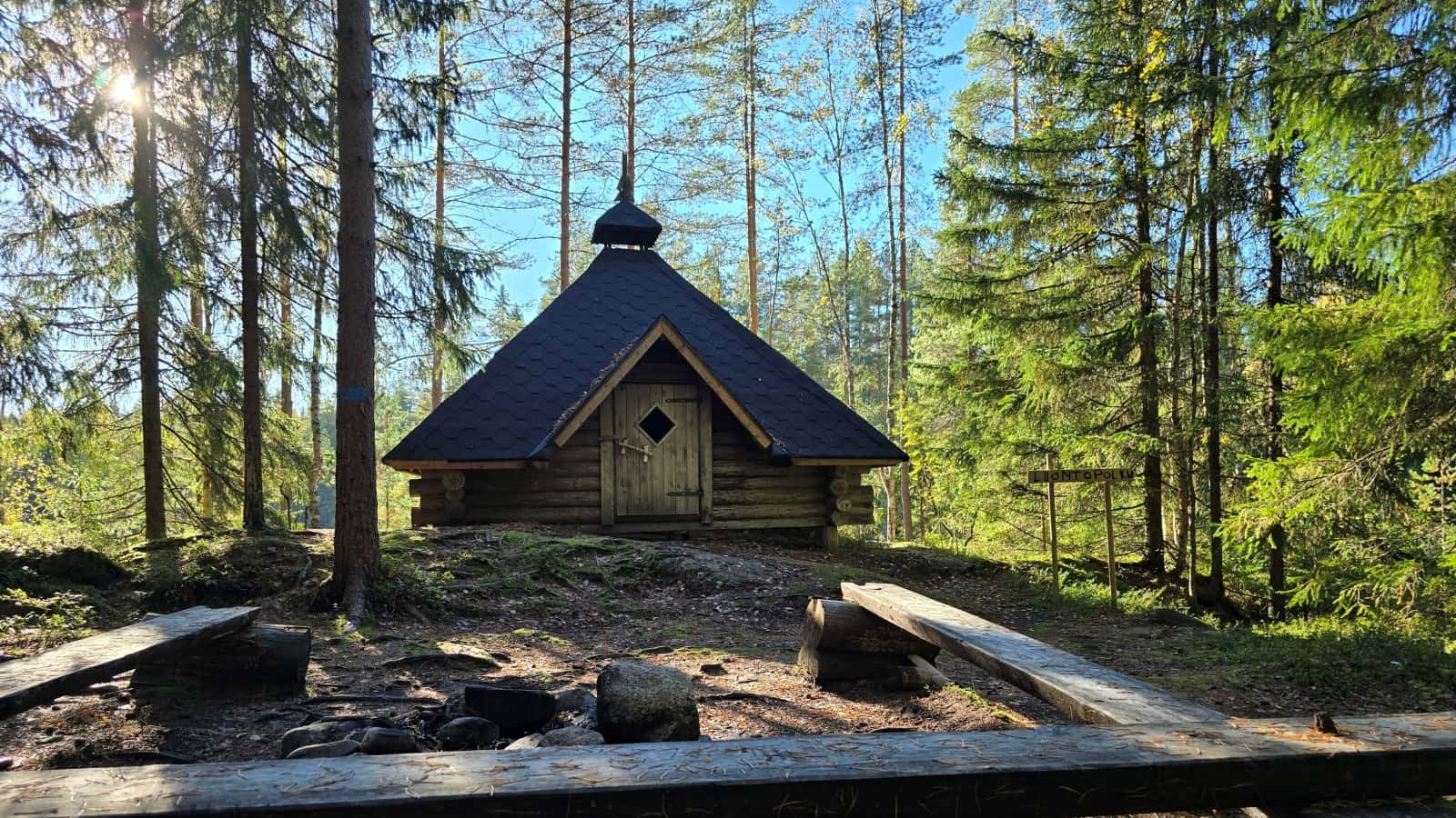 Kota kesäisessä metsämaisemassa.