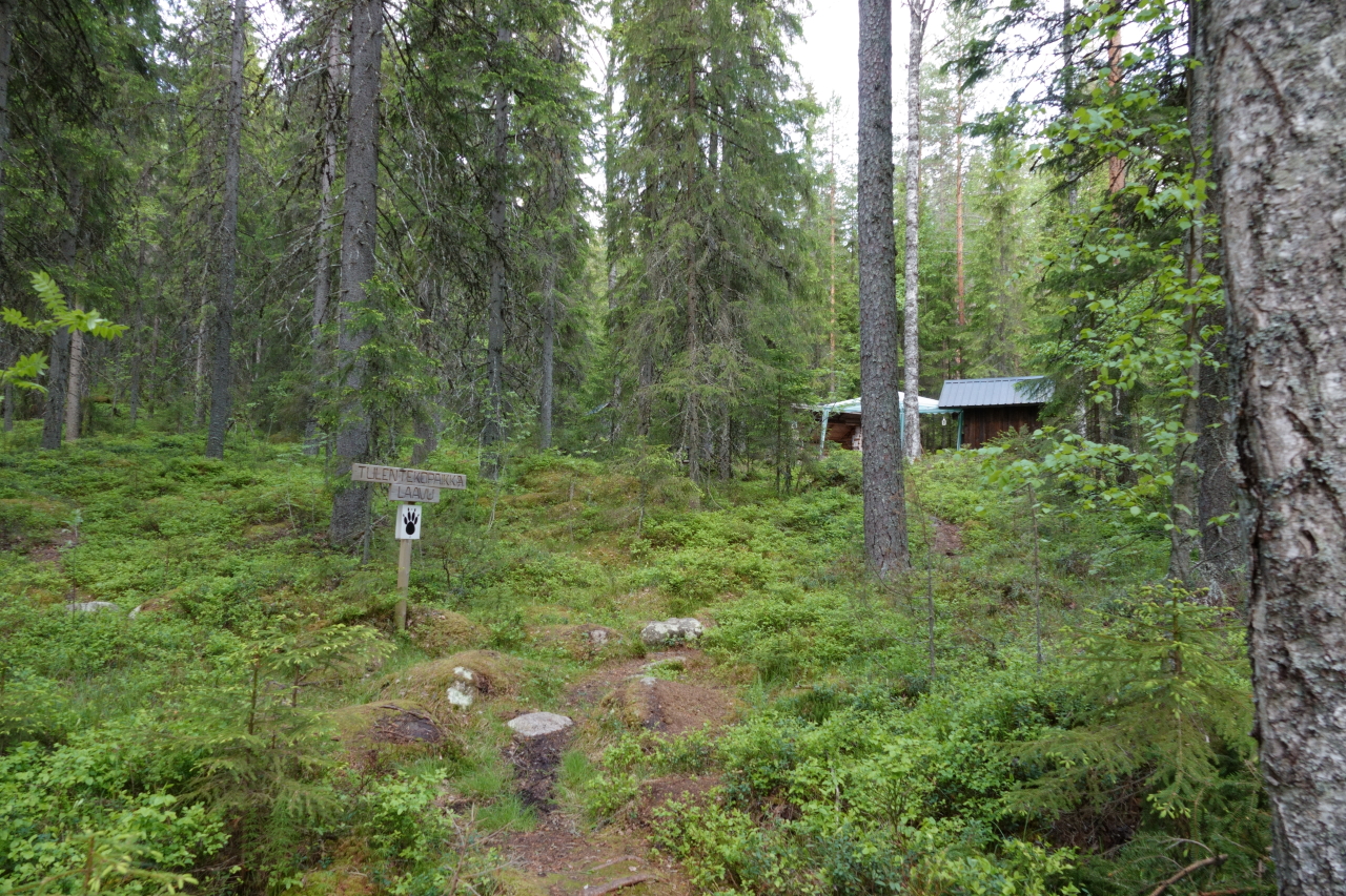 Konttikorven laavu ja tulipaikka kuvattuna etäältä tulosuunnasta.