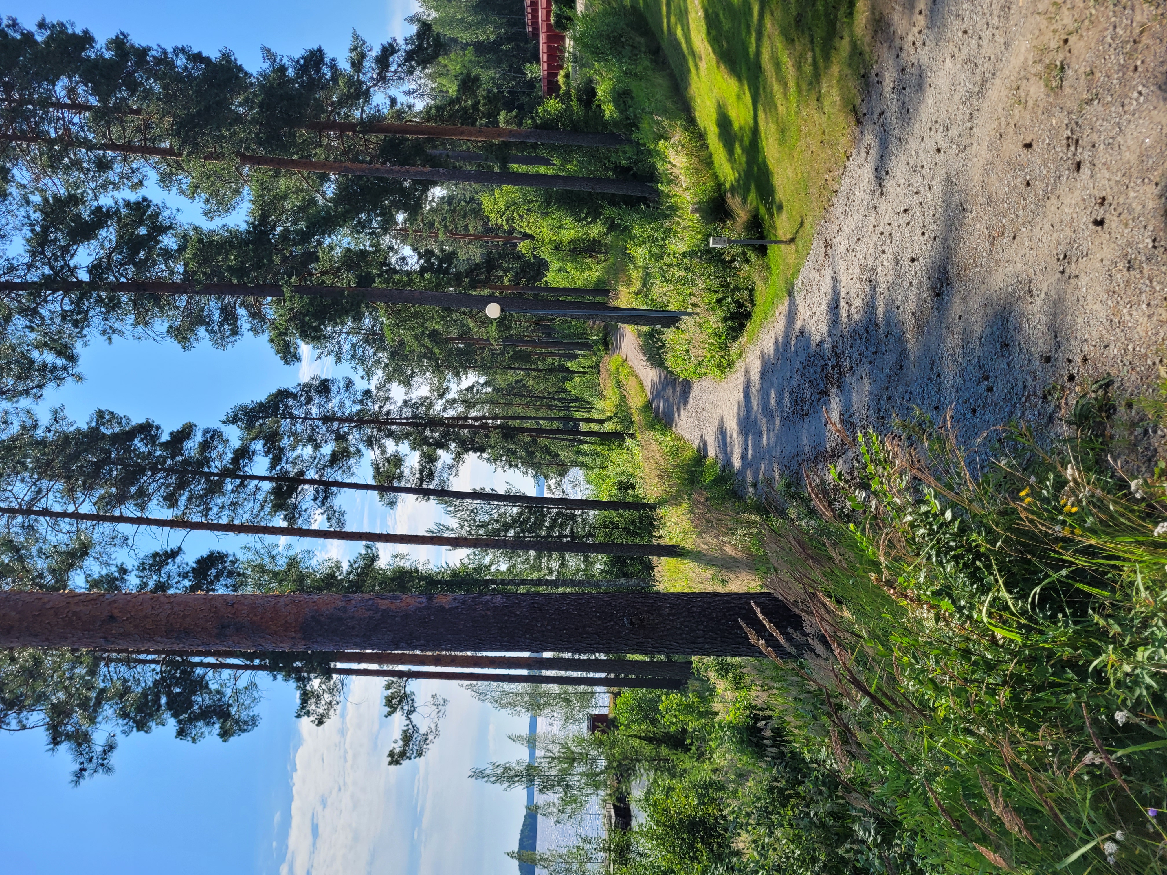 Kuvassa näkyy luontopolun lähtöpaikka hotelli keurusselän rannassa.
