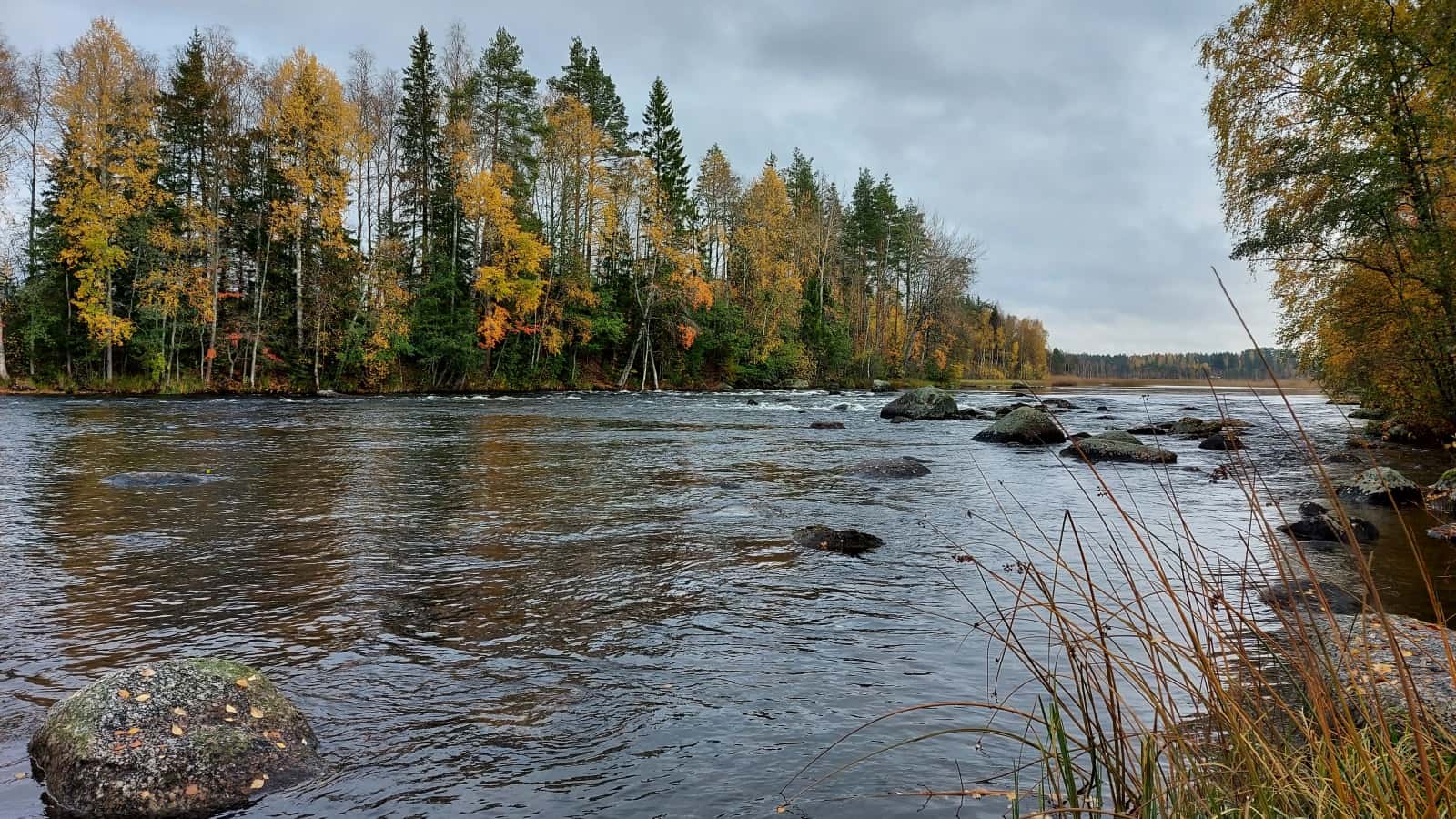 Kosken vartta kulkeva luontopolku. Ruskapuita kosken rannoilla.