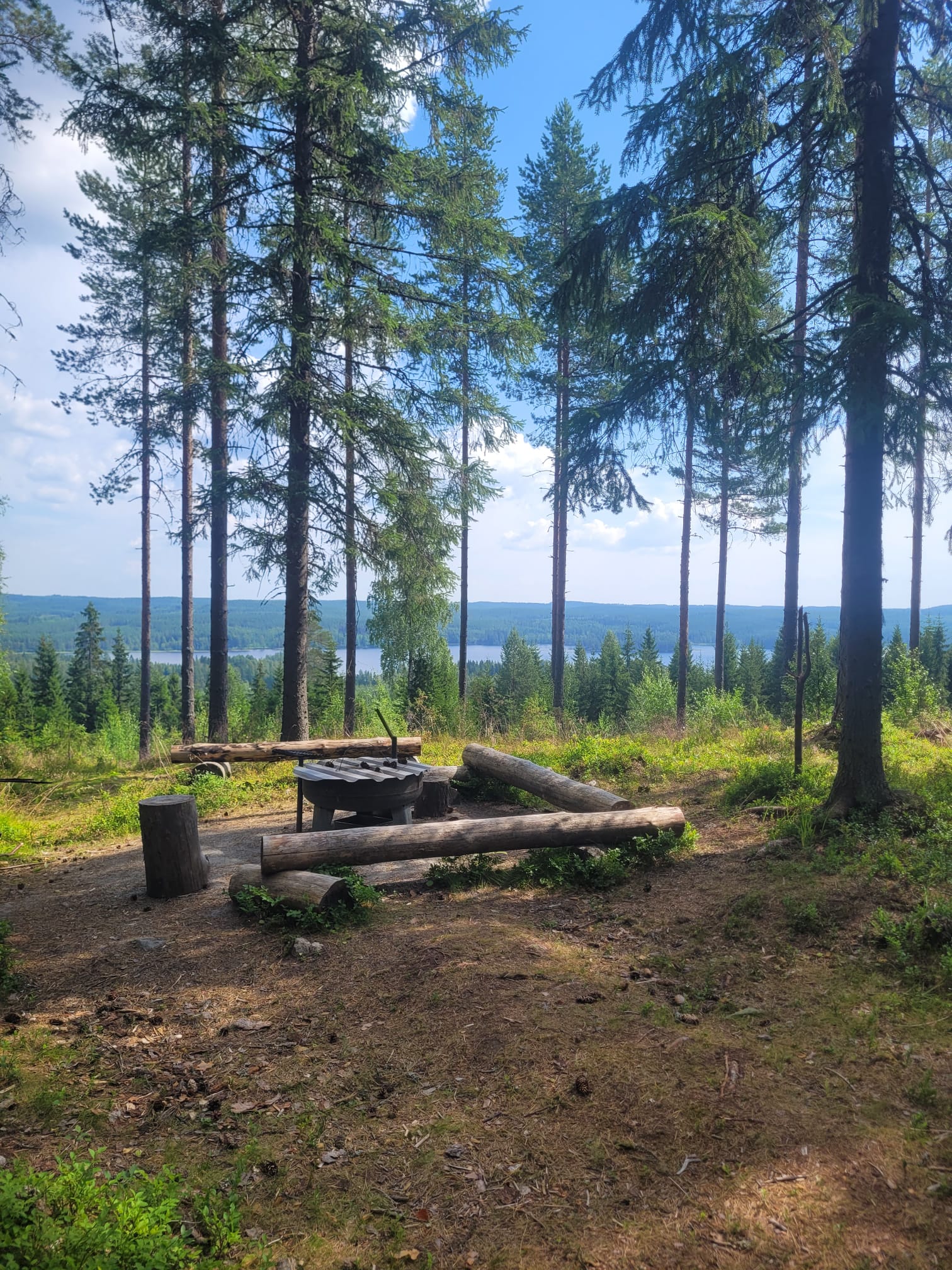 Nuotio ja penkit Jukojärven polkujen varrella.