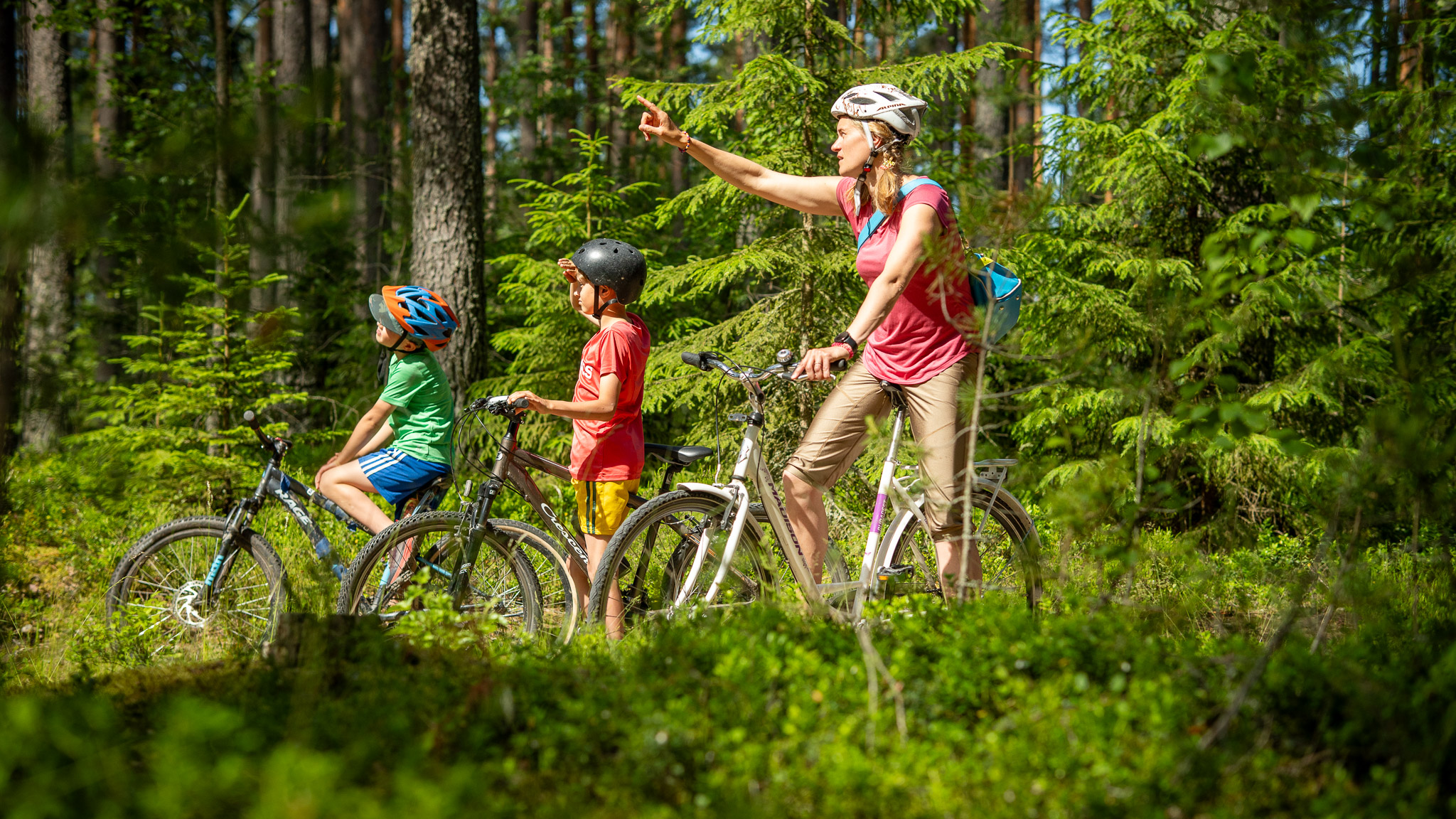 Äiti ja kaksi lasta ovat pysähtyneet pyörien kanssa metsään.