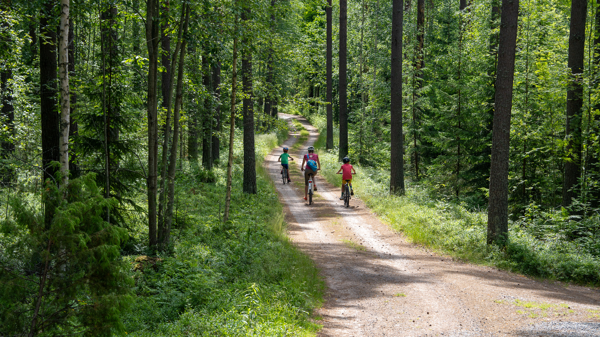 Aikuinen ja kaksi lasta pyöräilevät metsässä hiekkatiellä.