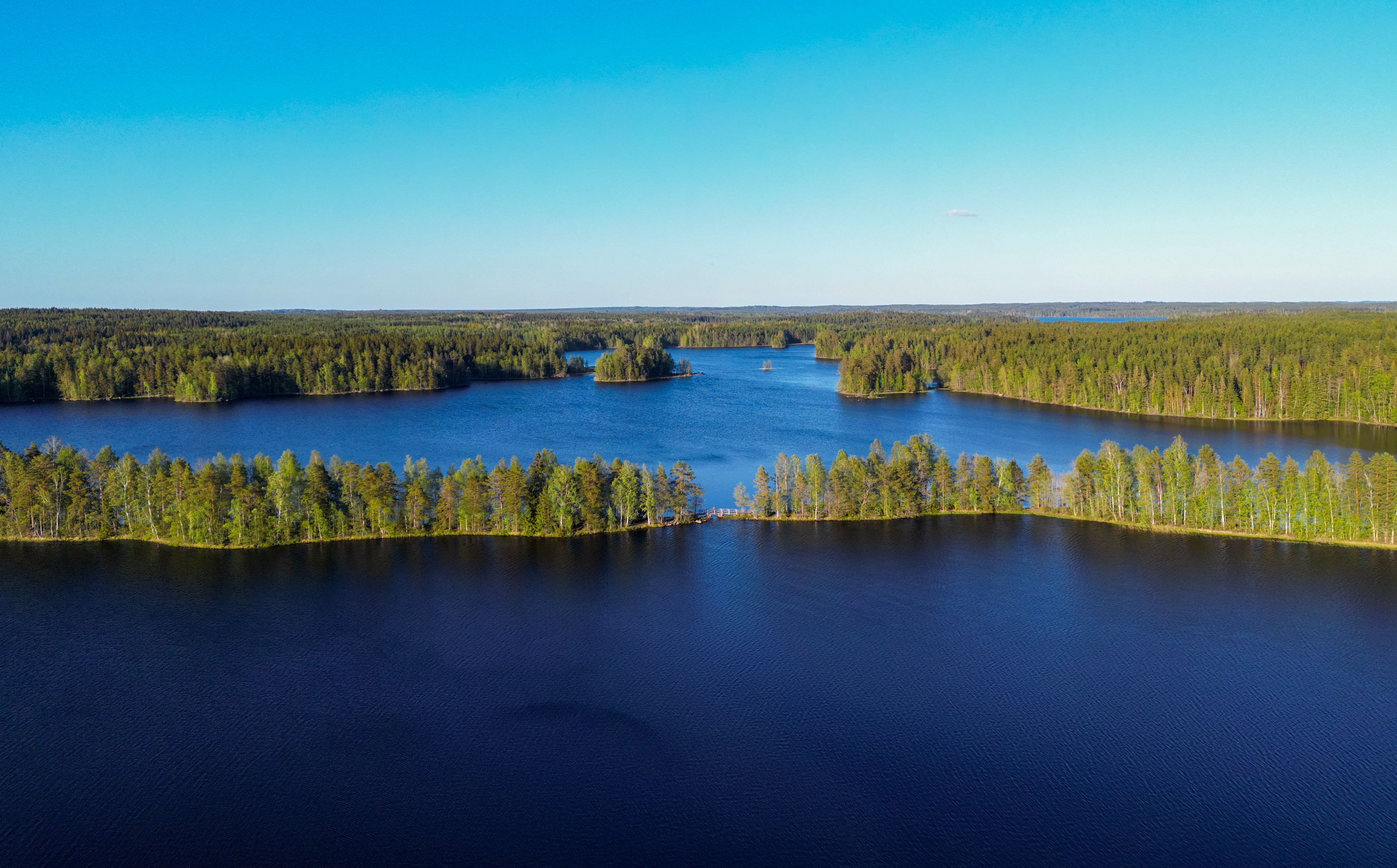 Narrow forest ridge in the middle of a lake.