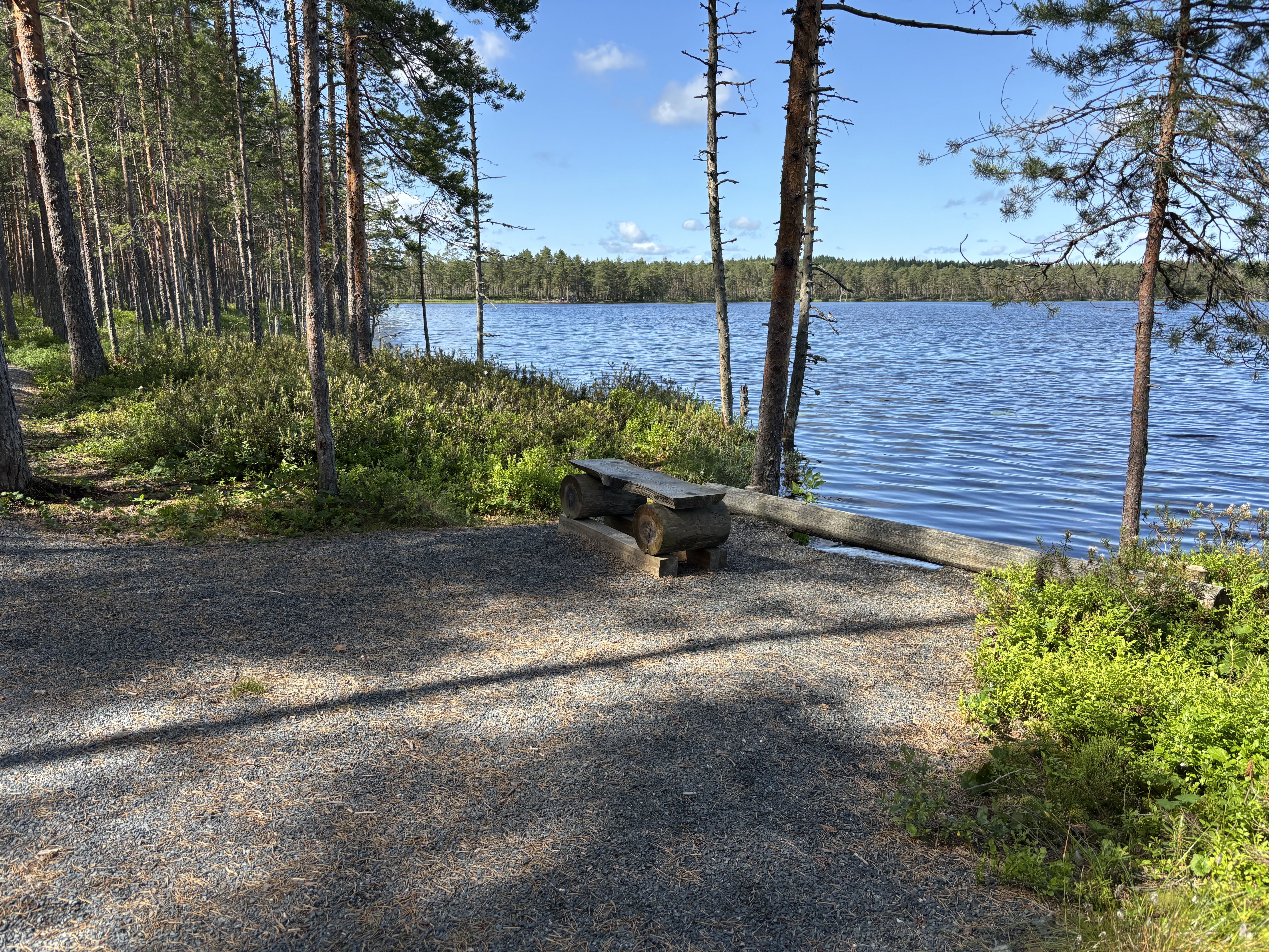 Puinen istuin lammen rannalla. Penkin viereen mahtuu pyörätuoli.