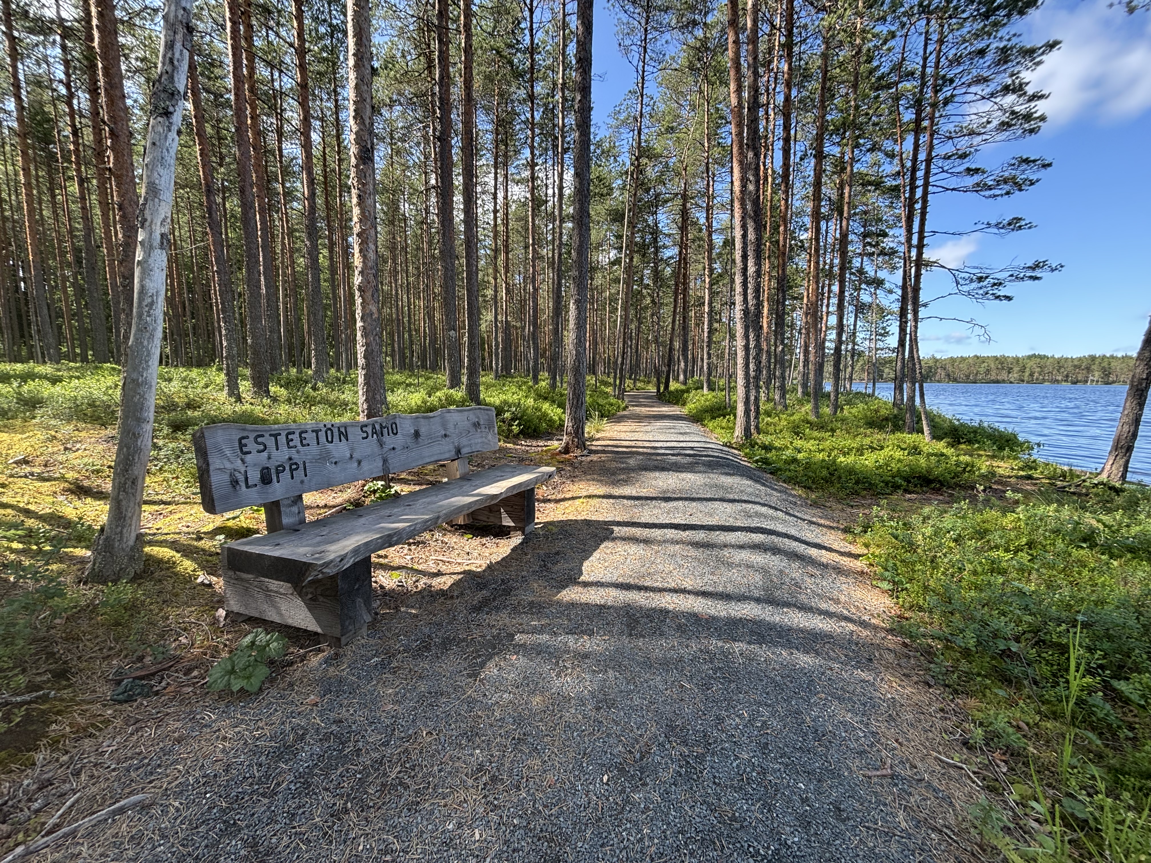 Pitkä ja leveä penkki reitin varrella, josta on näkymä Luutalammille.