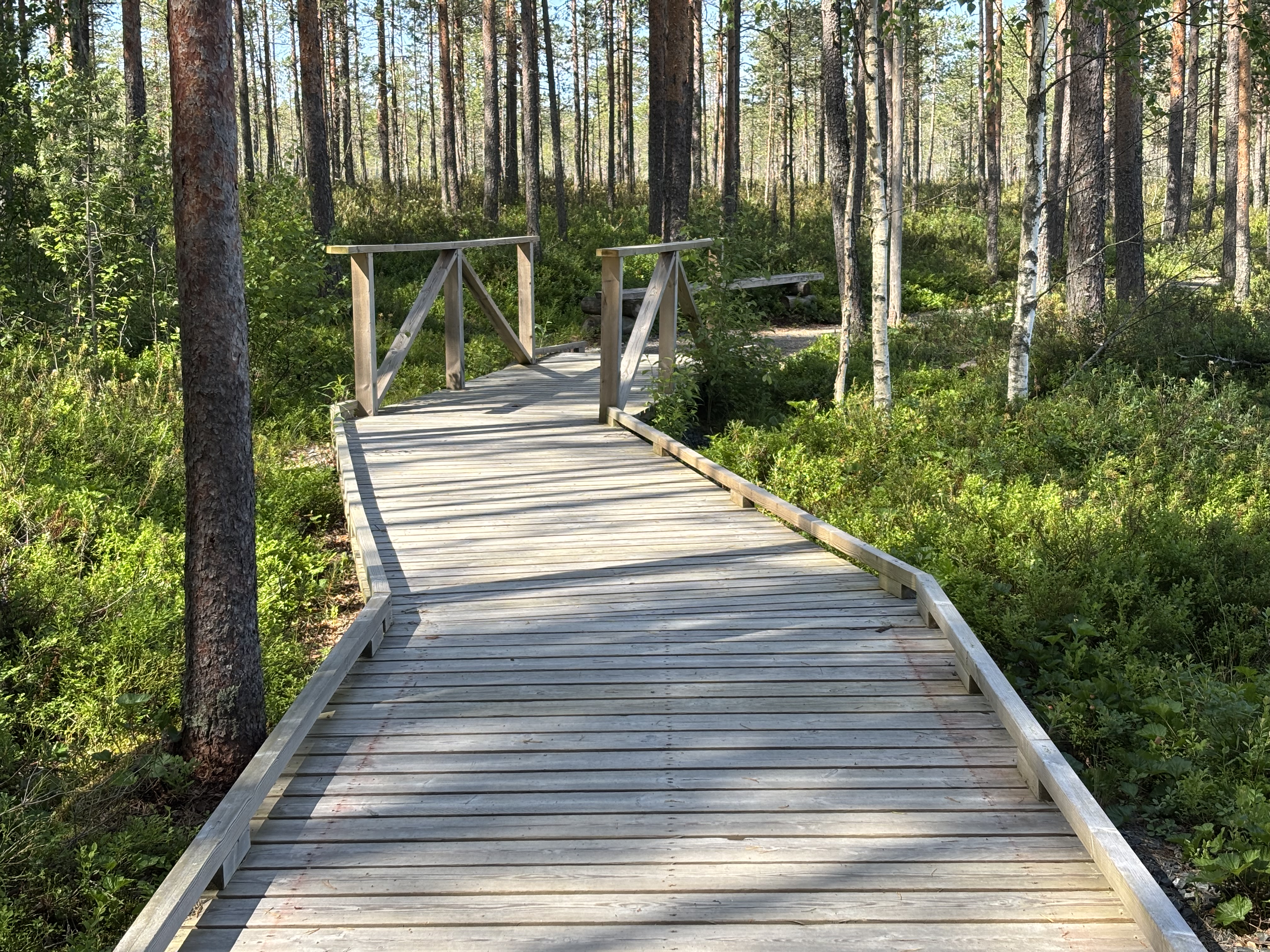 Leveä, puusta rakennettu kulkusilta.