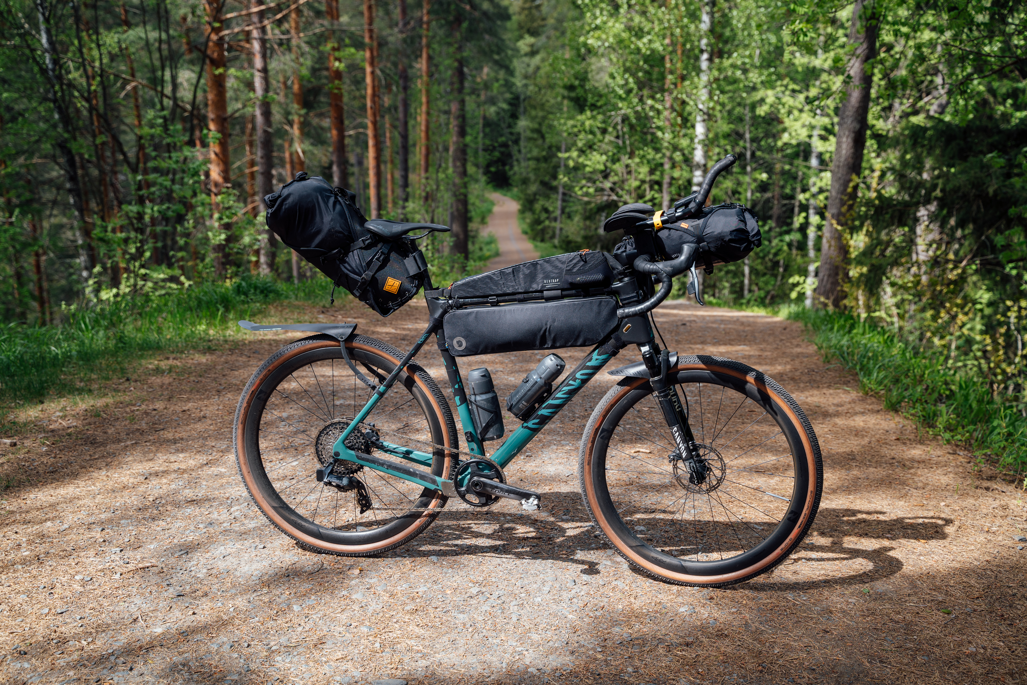 Bikepacking gravel bike in forest.