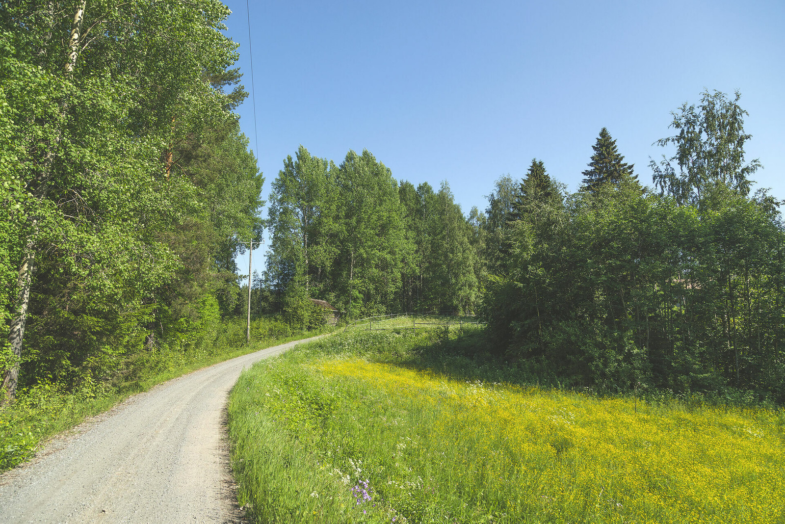 Hiekkatie kesäisen peltomaiseman vieressä
