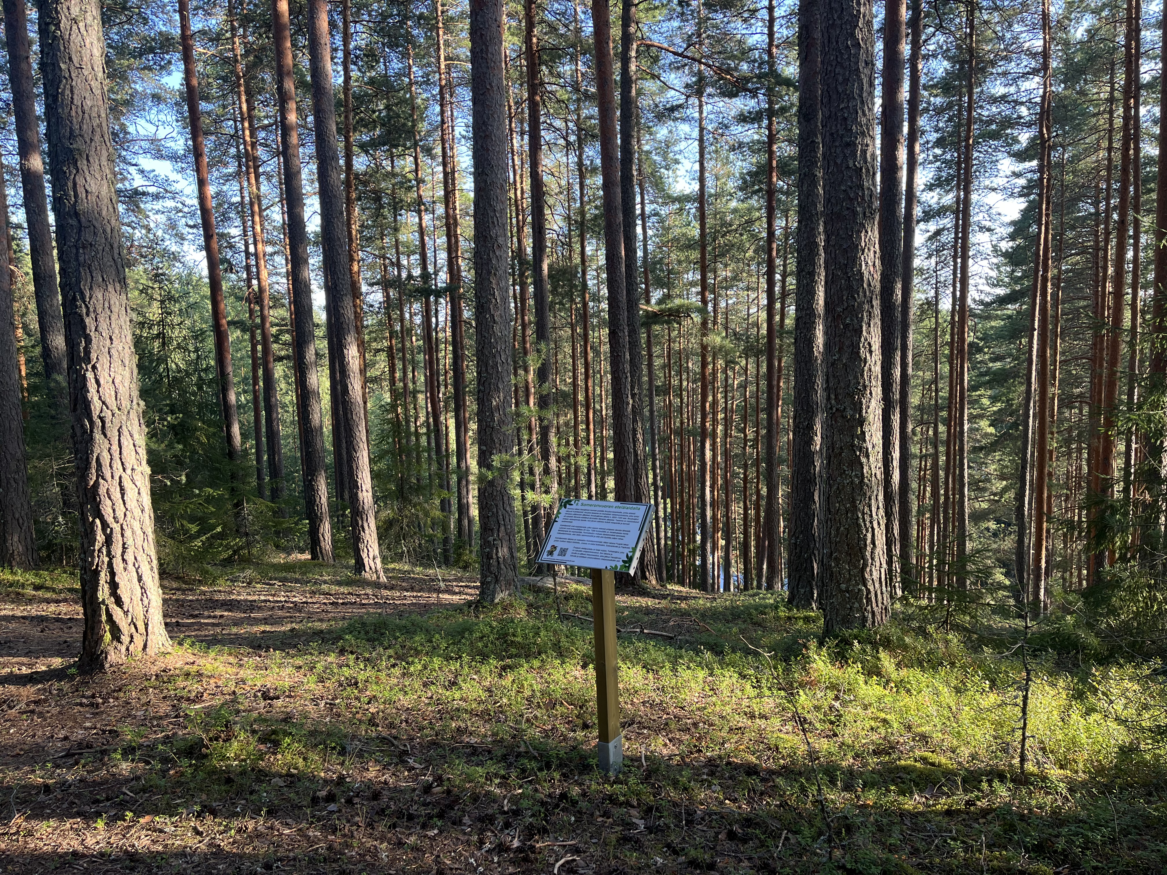 Kuna keskellä on luontopolun rastitaulu. Taustalla mäntymetsää ja alaspäin viettävä harju. Lampi pilkistää puiden takaa.
