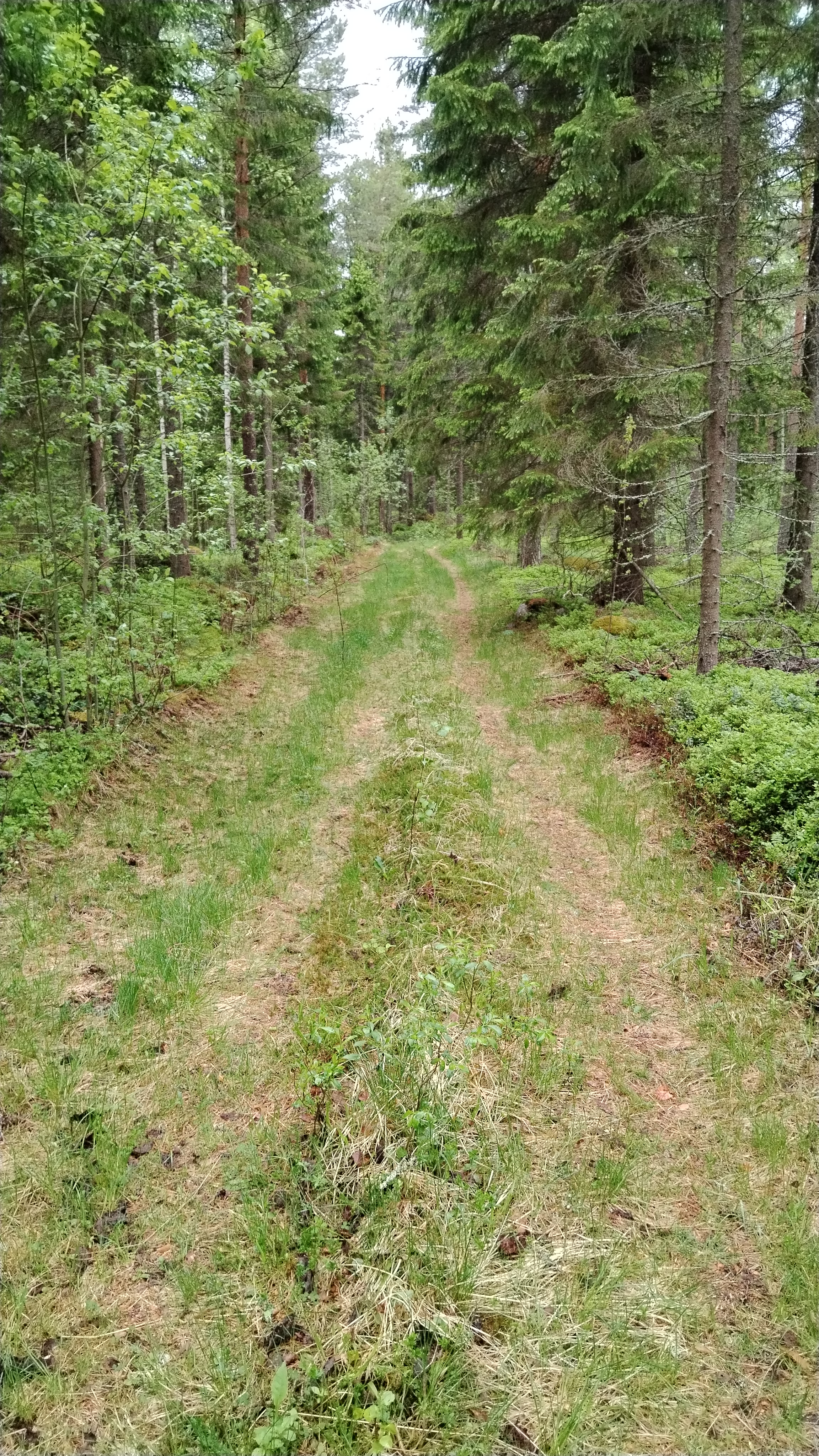 Kuva reitiltä