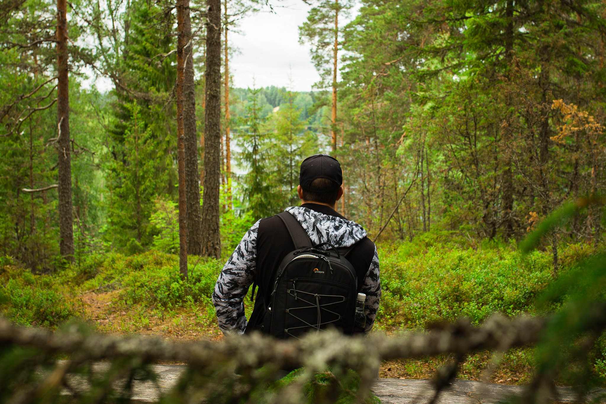 A person sits on a wooden bench in the forest, admiring the lake view framed by the surrounding trees.