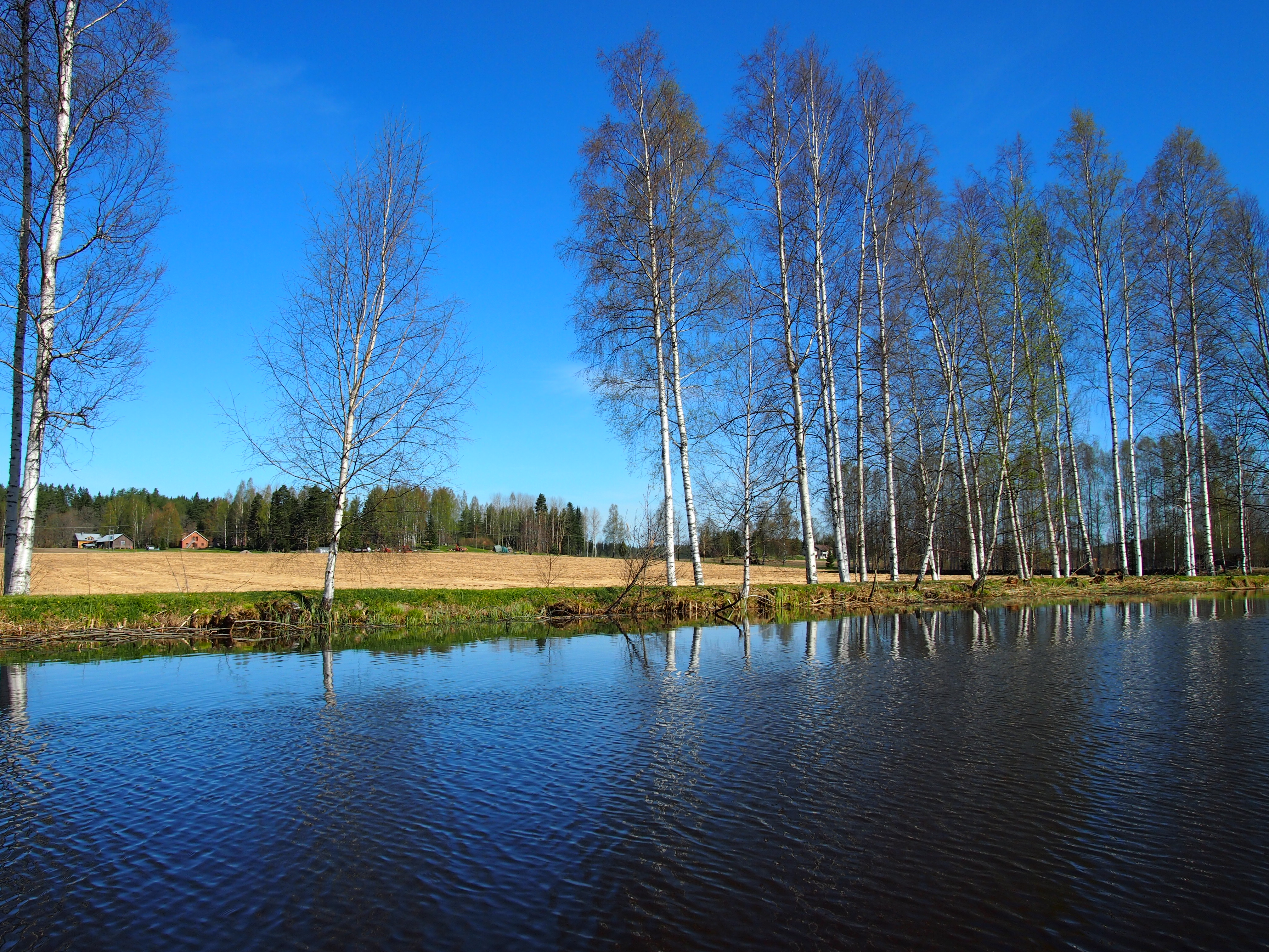 Jokimaisema, rannalla peltoa ja asutusta.
