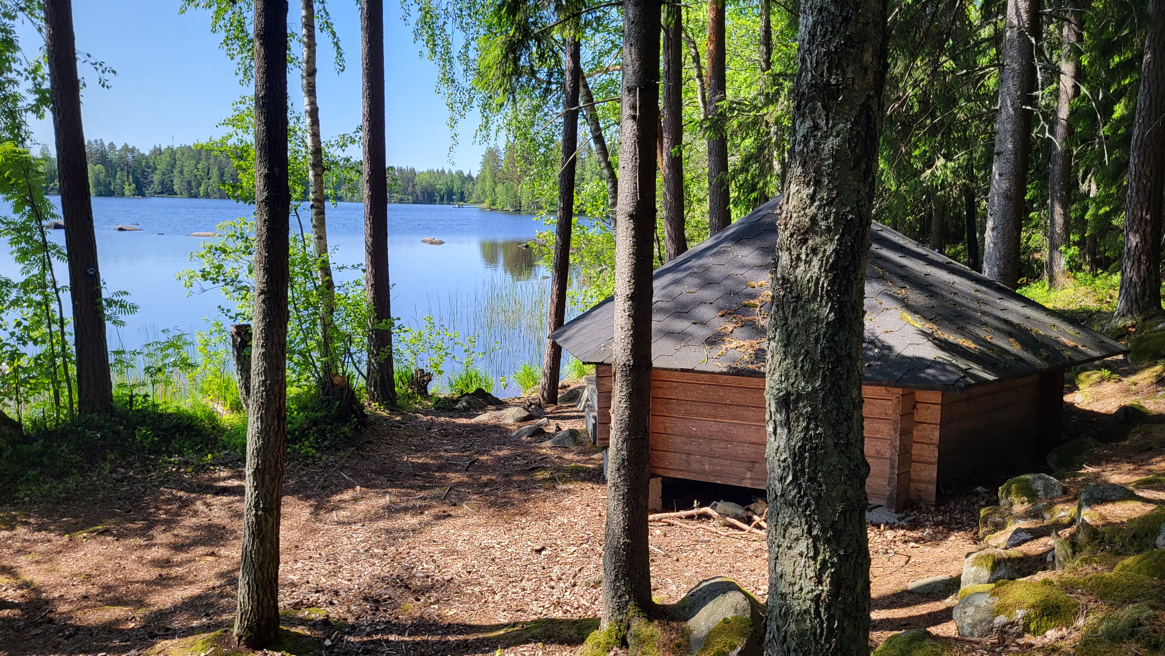 Laavu metsässä järven rannalla.