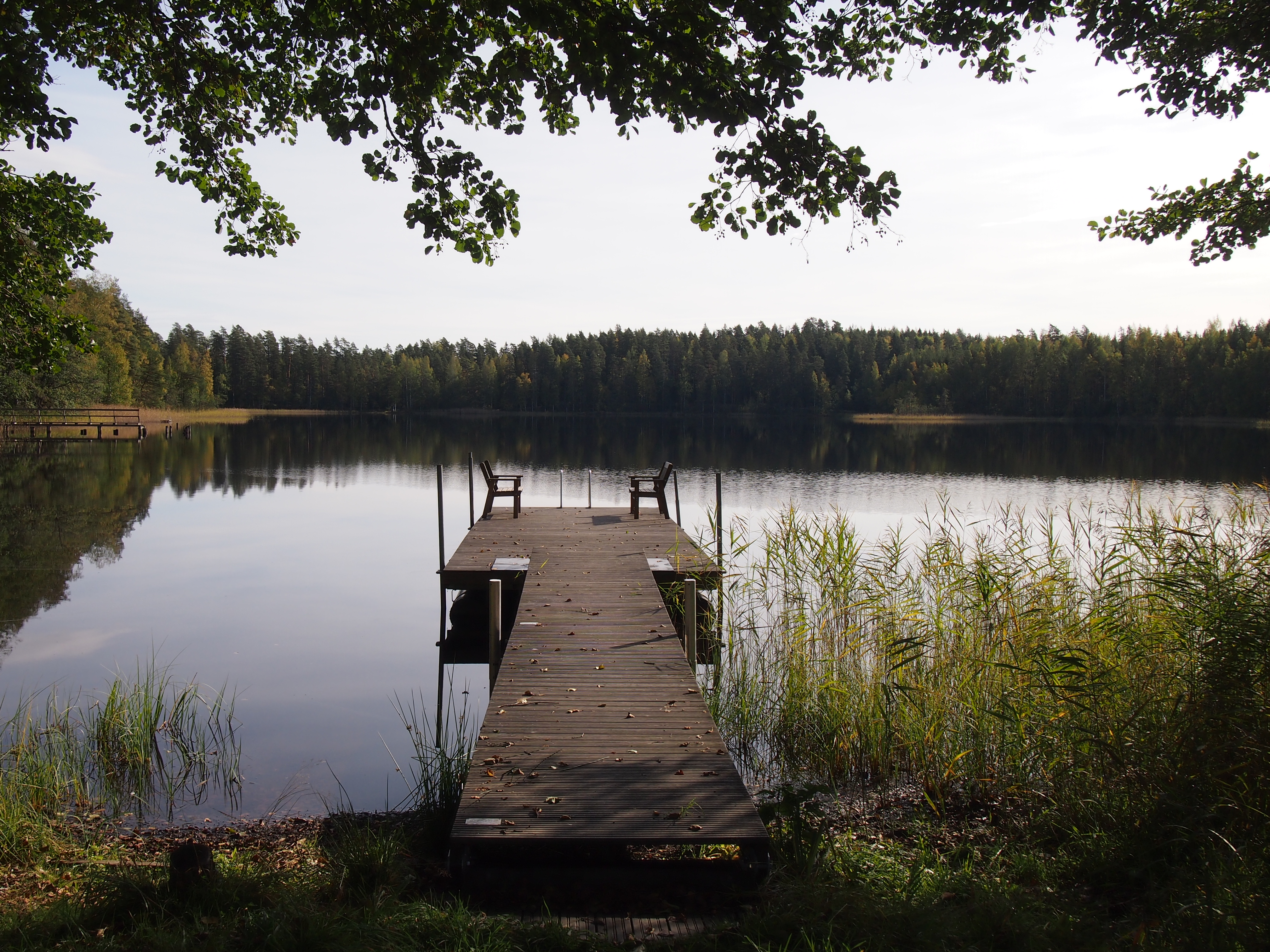 Laituri ja järvimaisema.